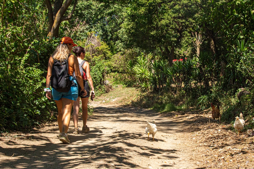 a couple of people walking down a dirt road