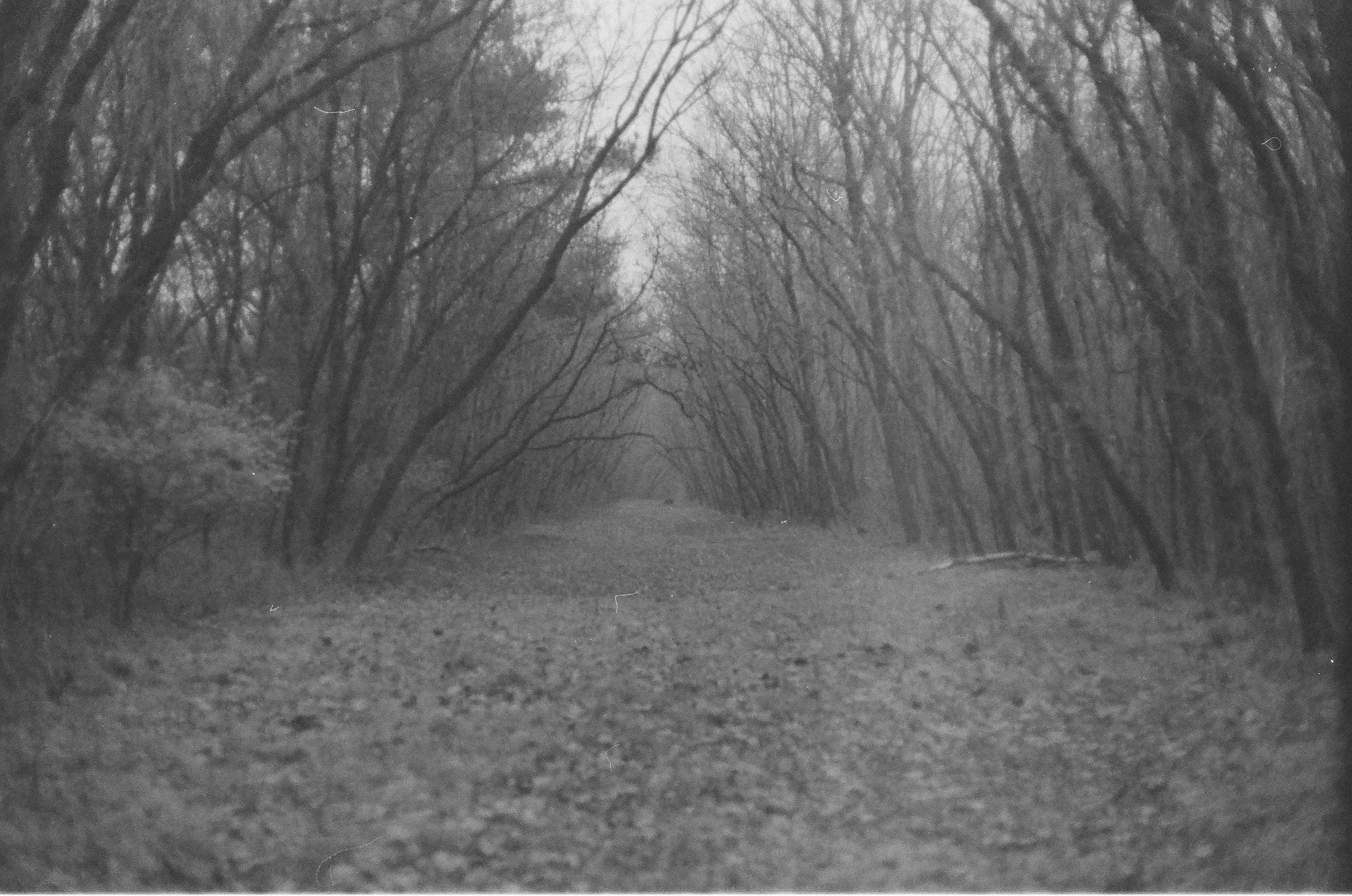 Photo by blakecheekk