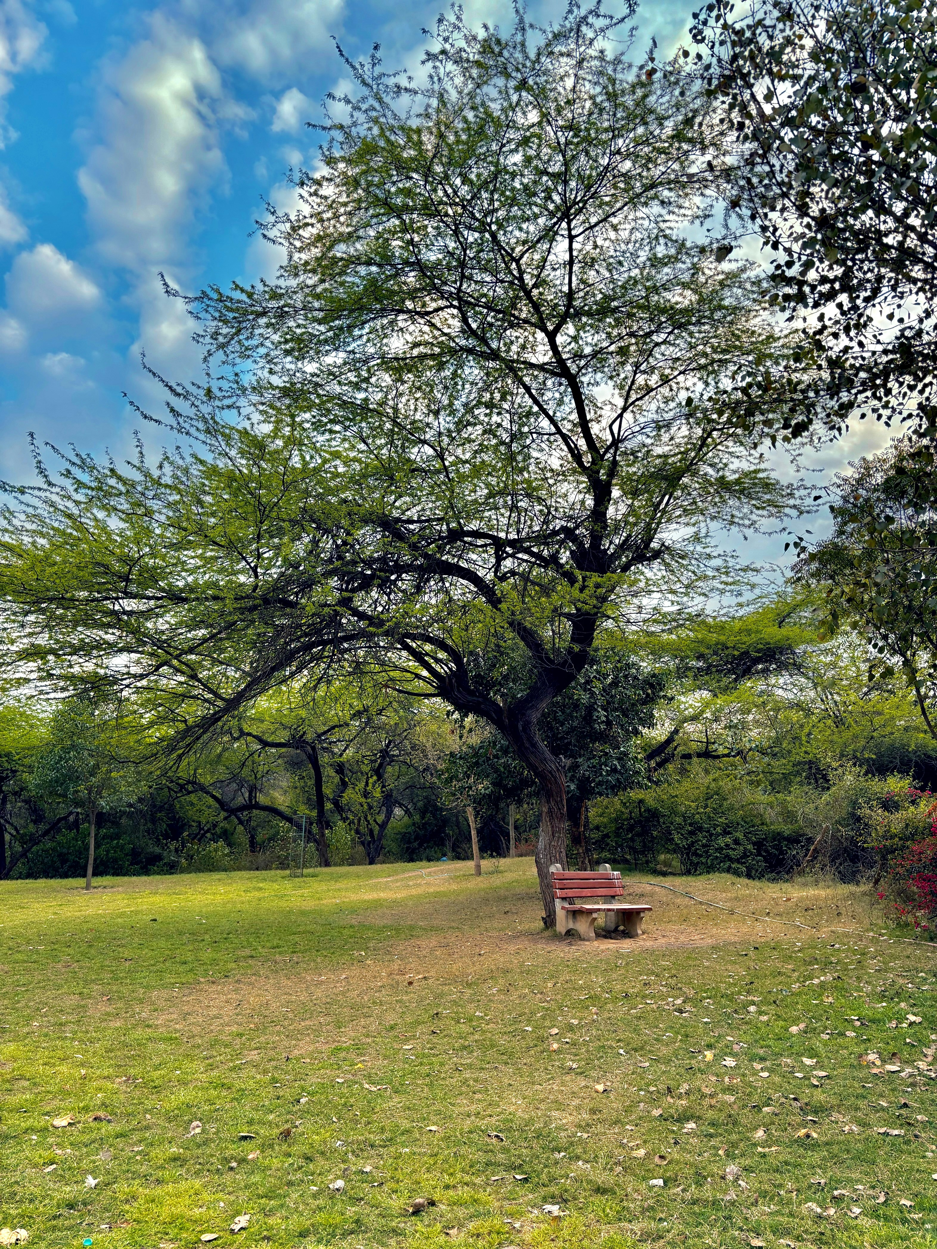 Photo by ankitmshr993