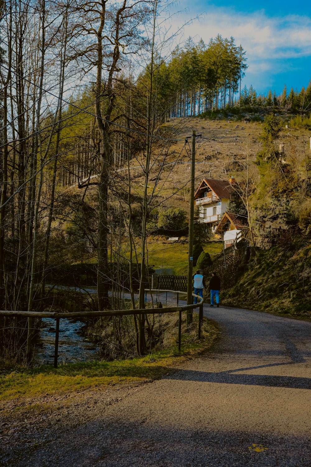 a person walking down a road next to a lush green hillside