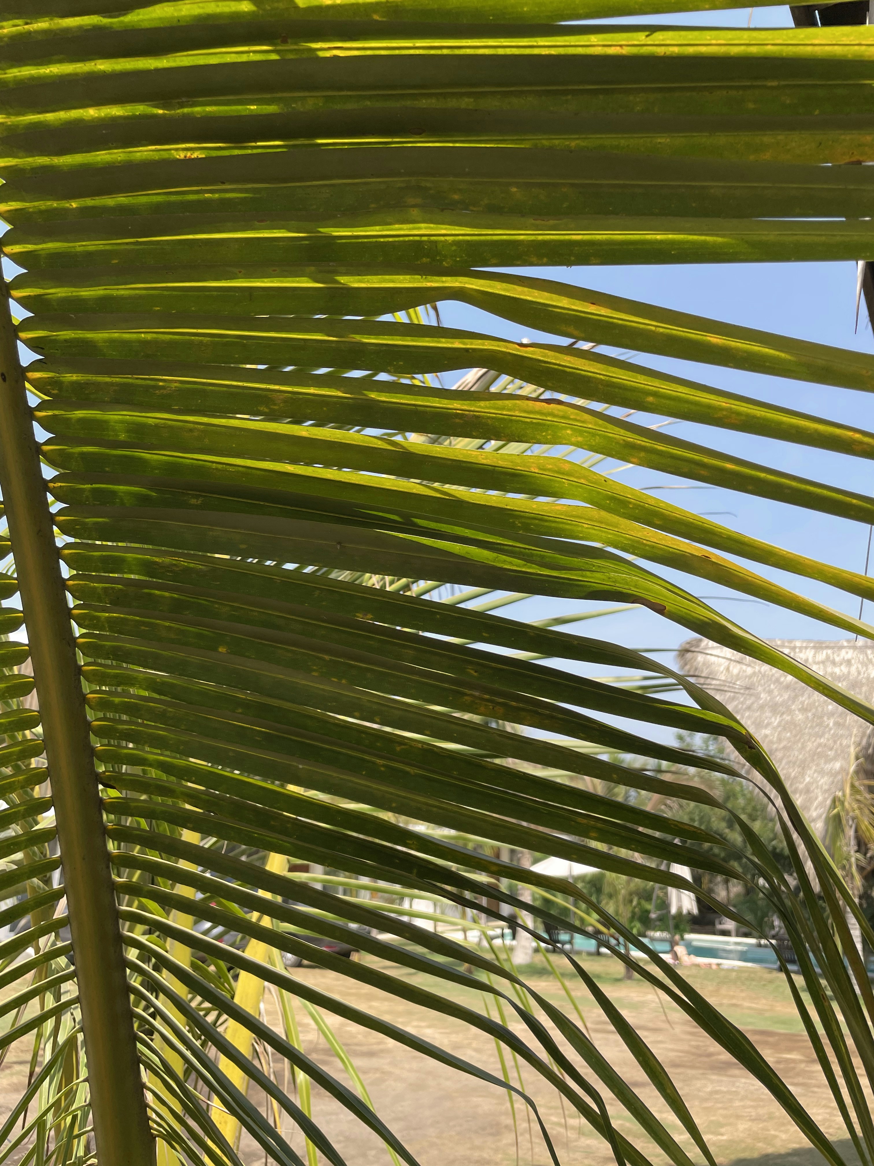 Photo by flor_estrada