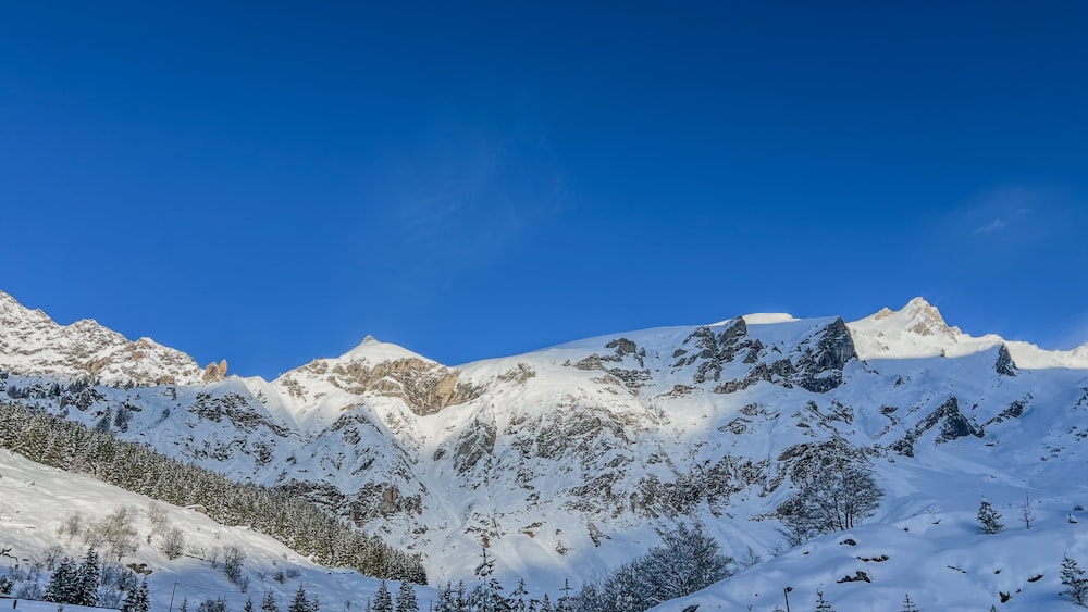 a mountain covered in snow with trees on the side