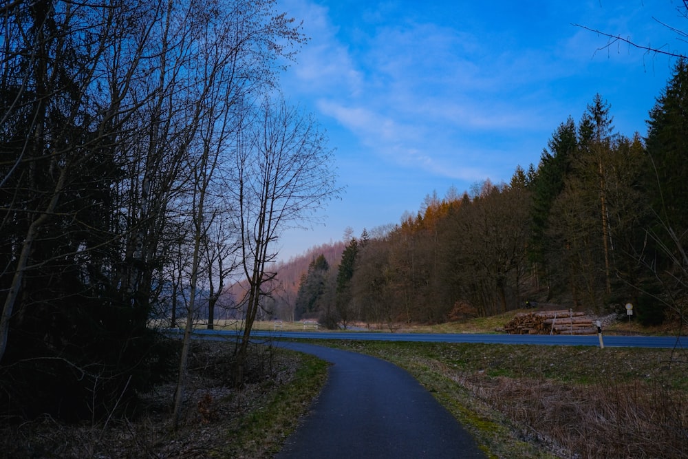 a road in the middle of a wooded area