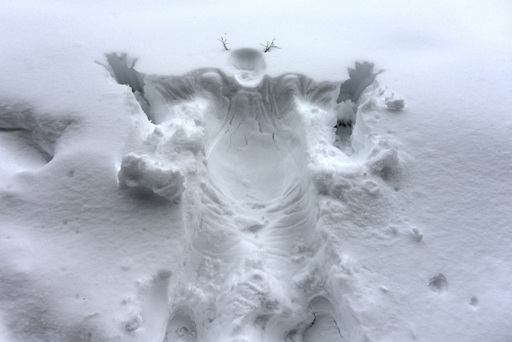 a snow covered ground with a bird on top of it