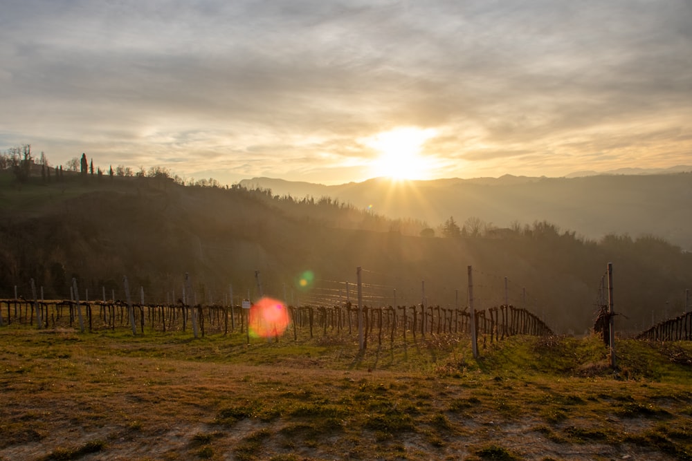 the sun is setting over a vineyard in the mountains