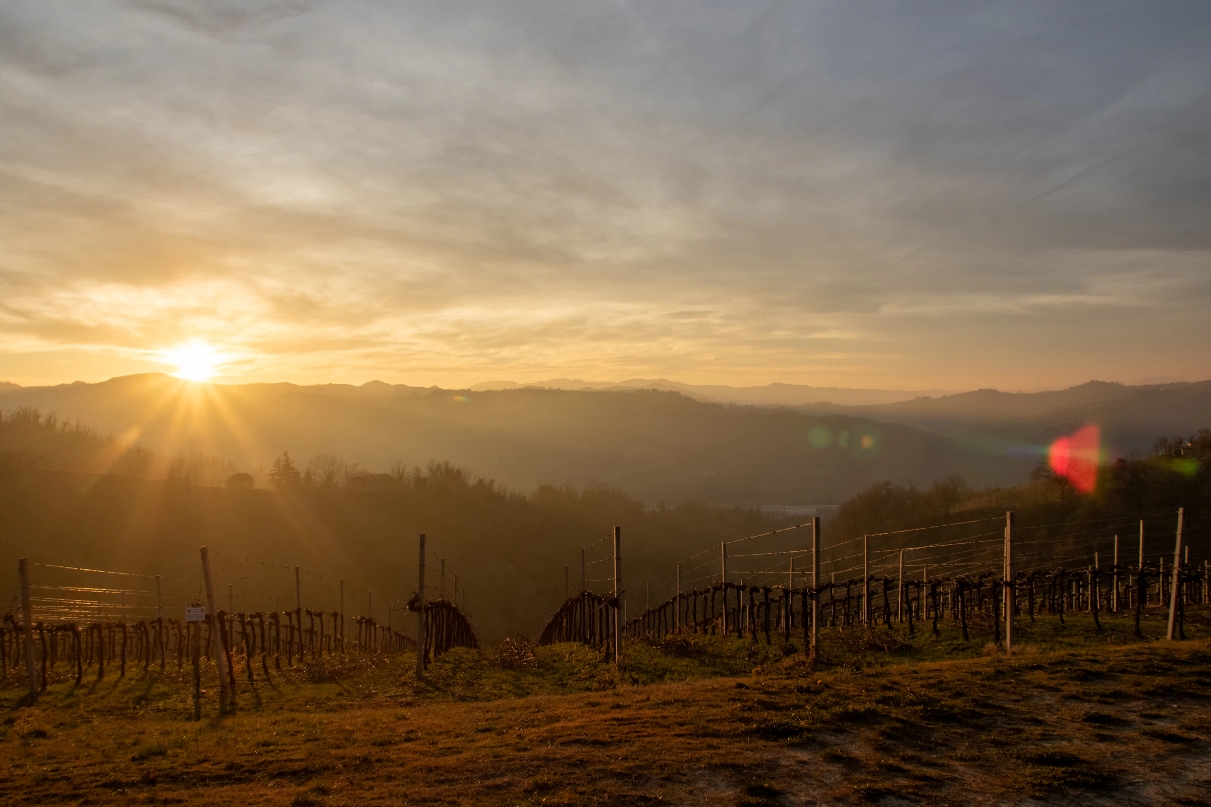 Castelli Romani e cantina