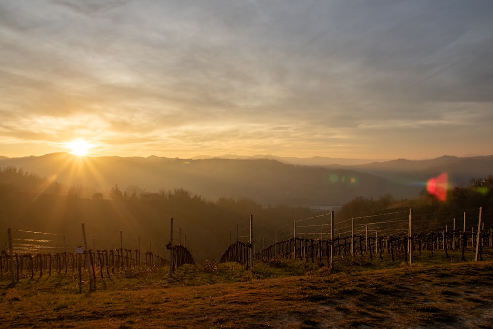 the sun is setting over a vineyard in the mountains