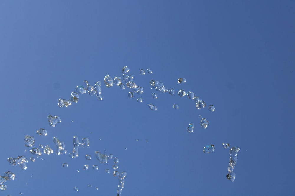 a group of bubbles floating in the air