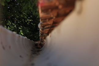 a close up of a fence with trees in the background