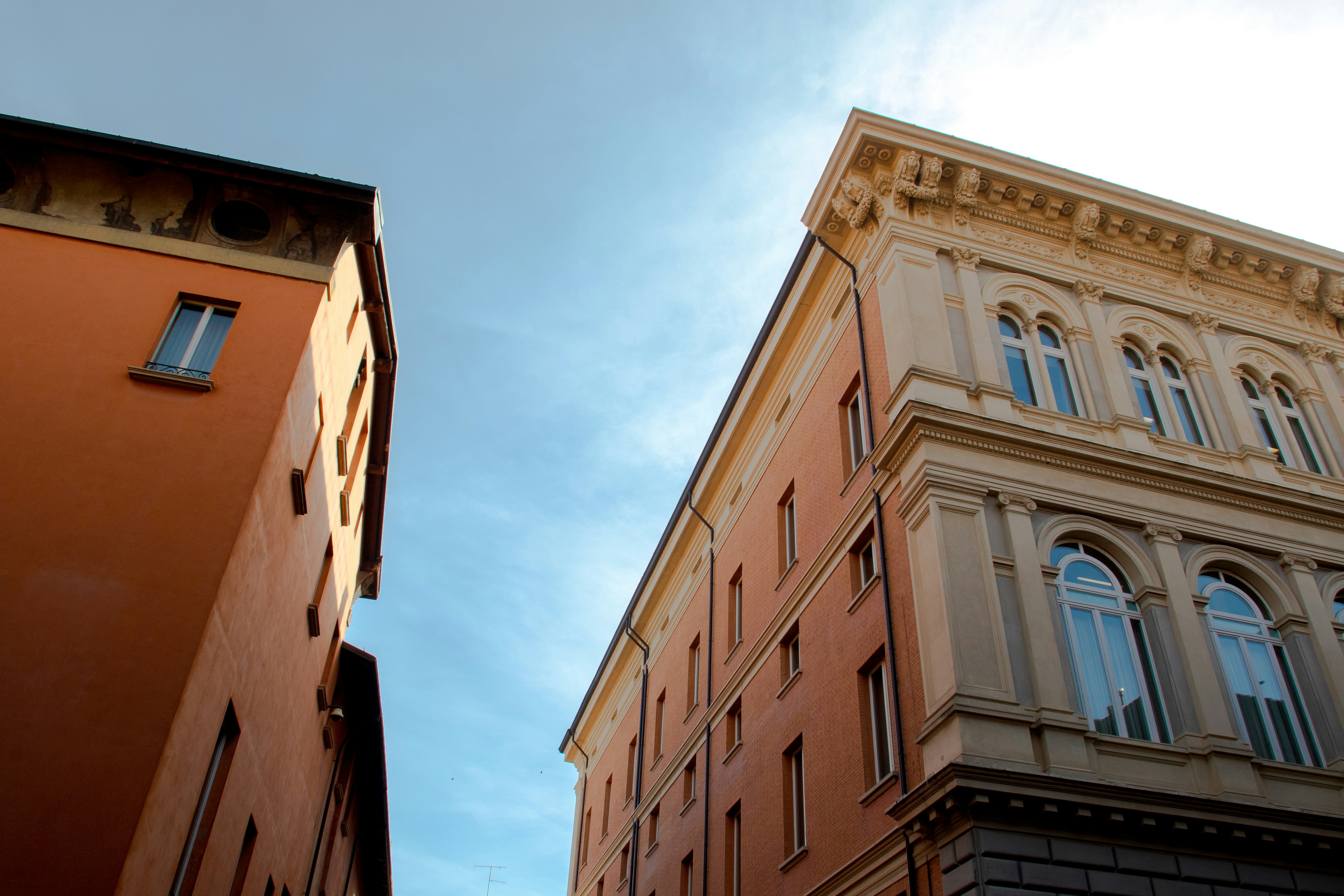 Photo by mattia_poli_04