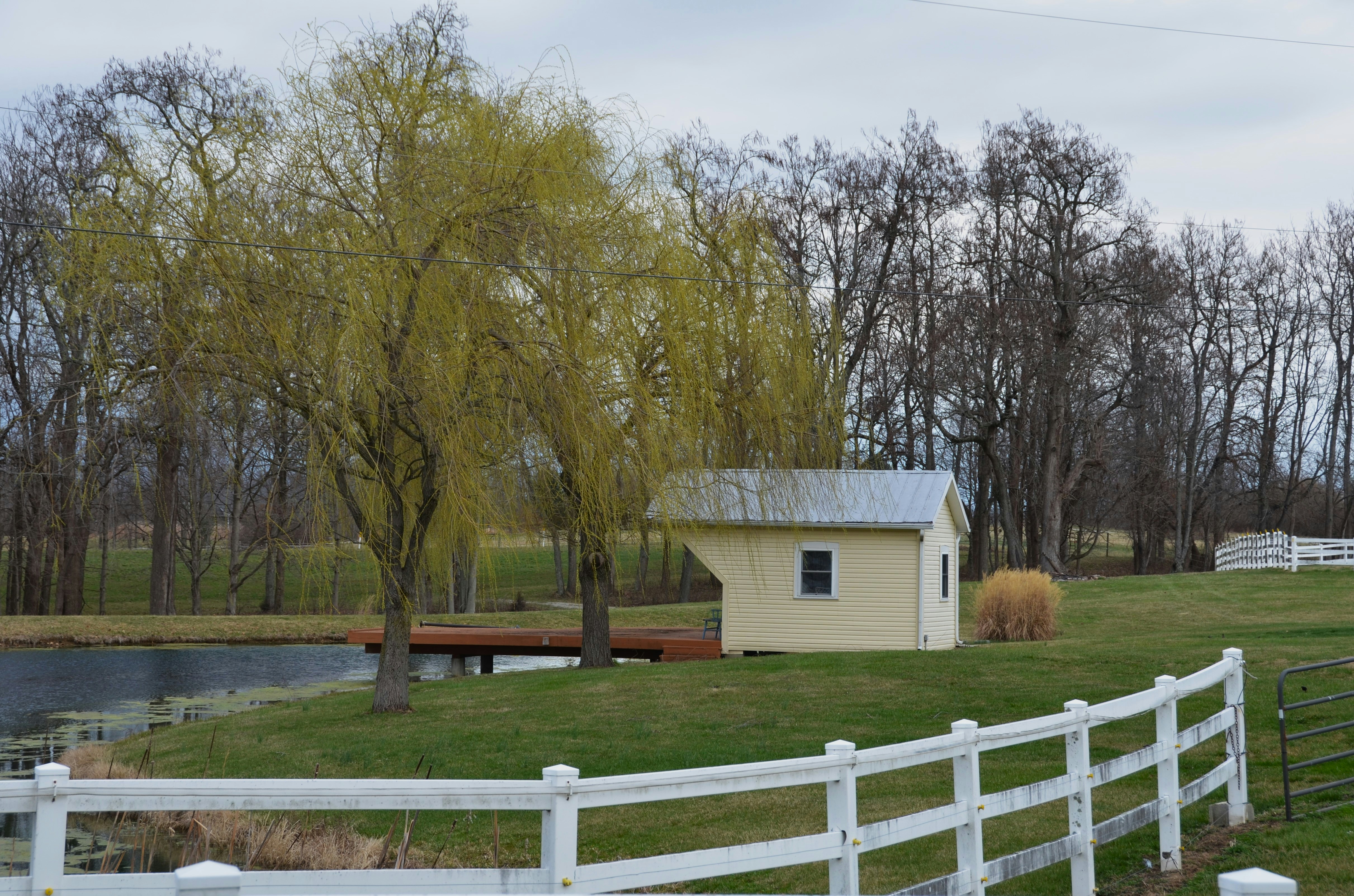 Clubhouse Springpond State Fishery Area