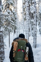 a man with a backpack walking through the woods