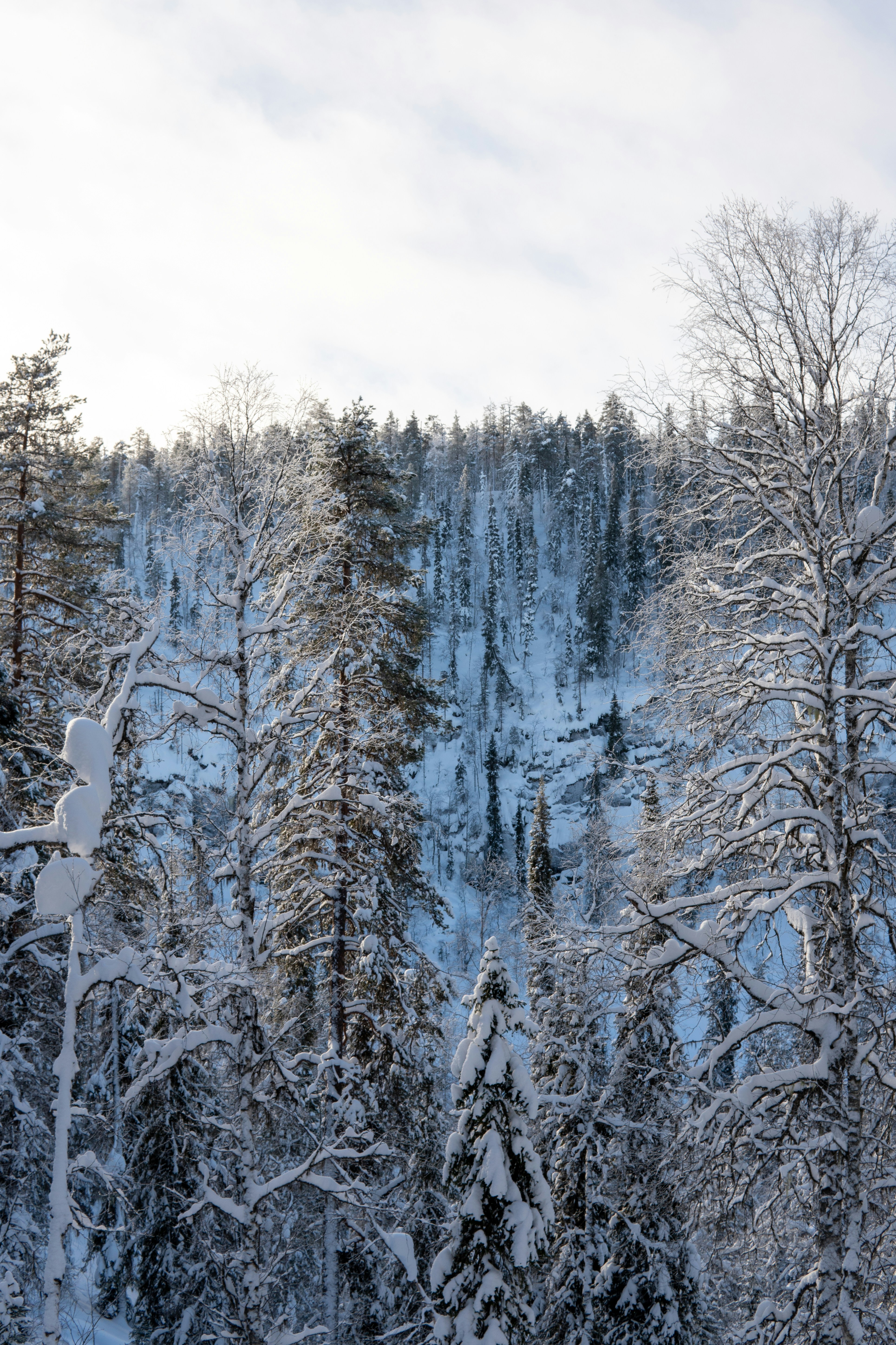 Photo by jeancarloemer