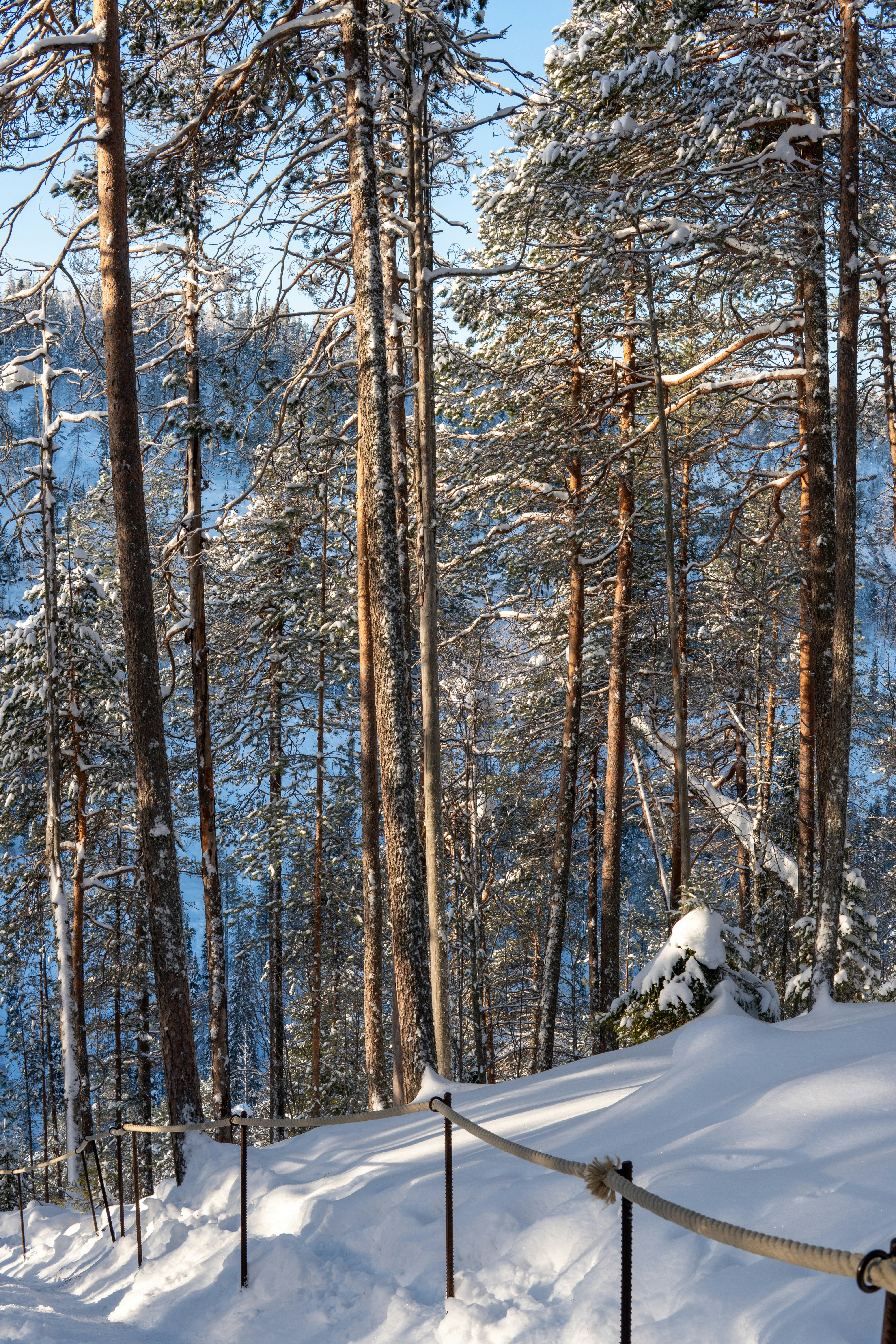 Photo by jeancarloemer