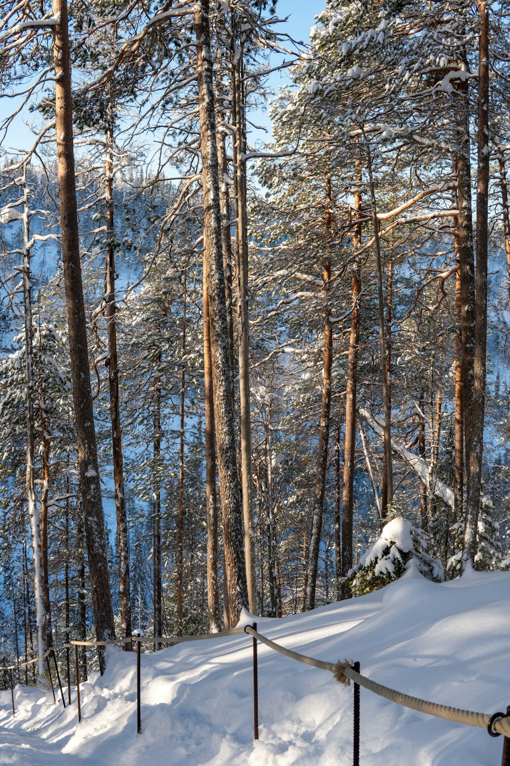 a man riding skis down a snow covered slope