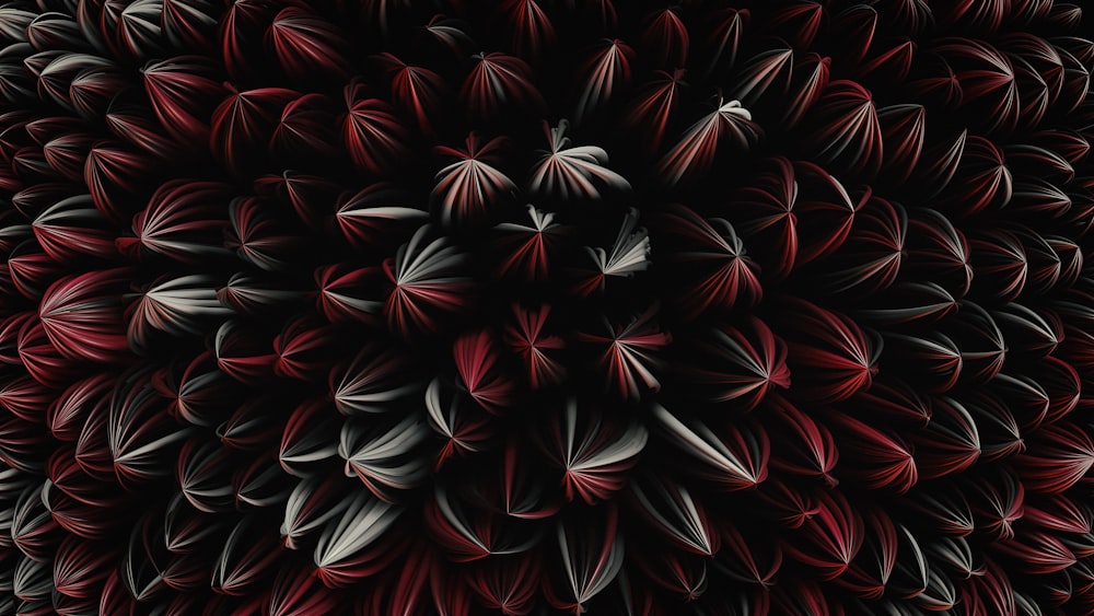 a close up view of a red and black flower