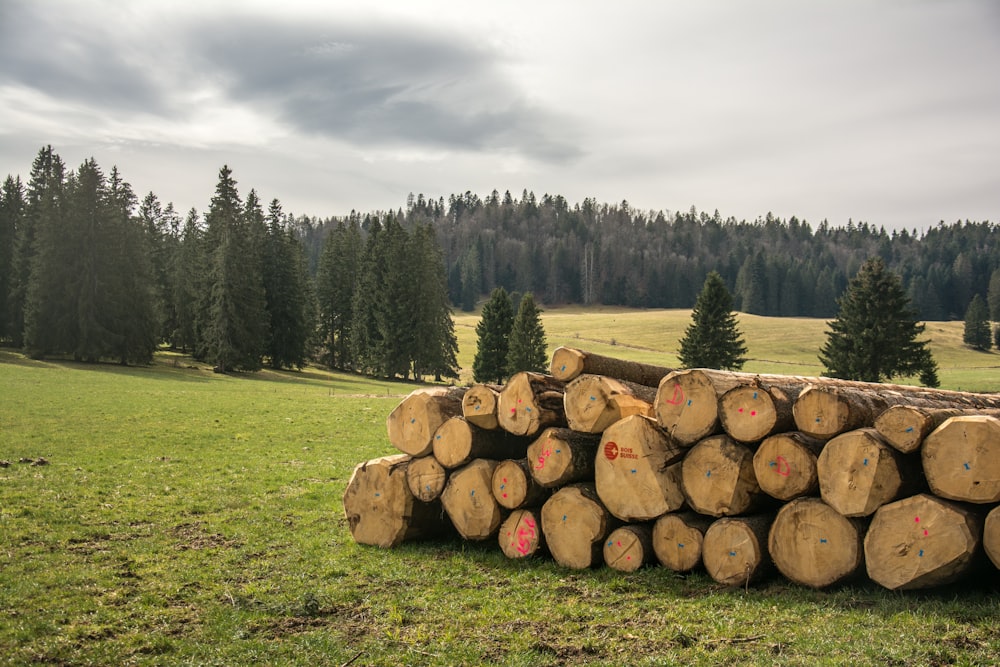 a pile of logs sitting on top of a lush green field