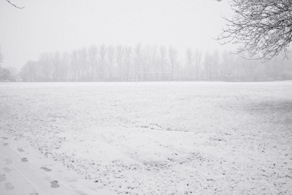 a snow covered field with a tree in the distance