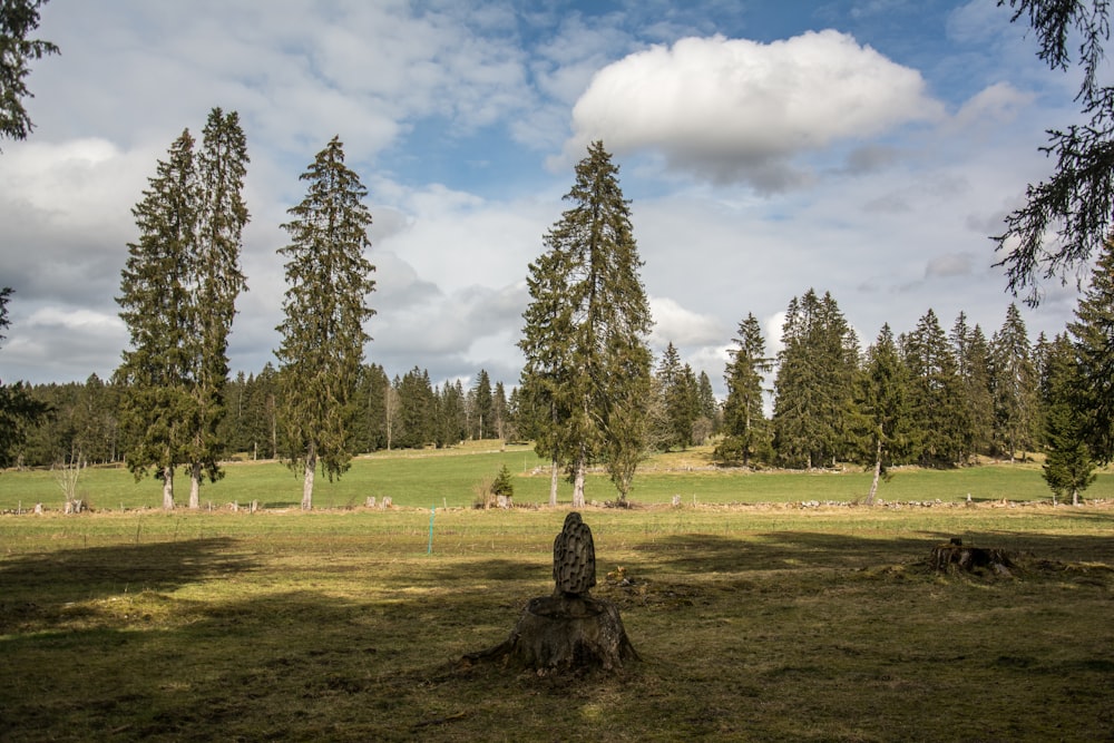 a grassy field with trees in the background