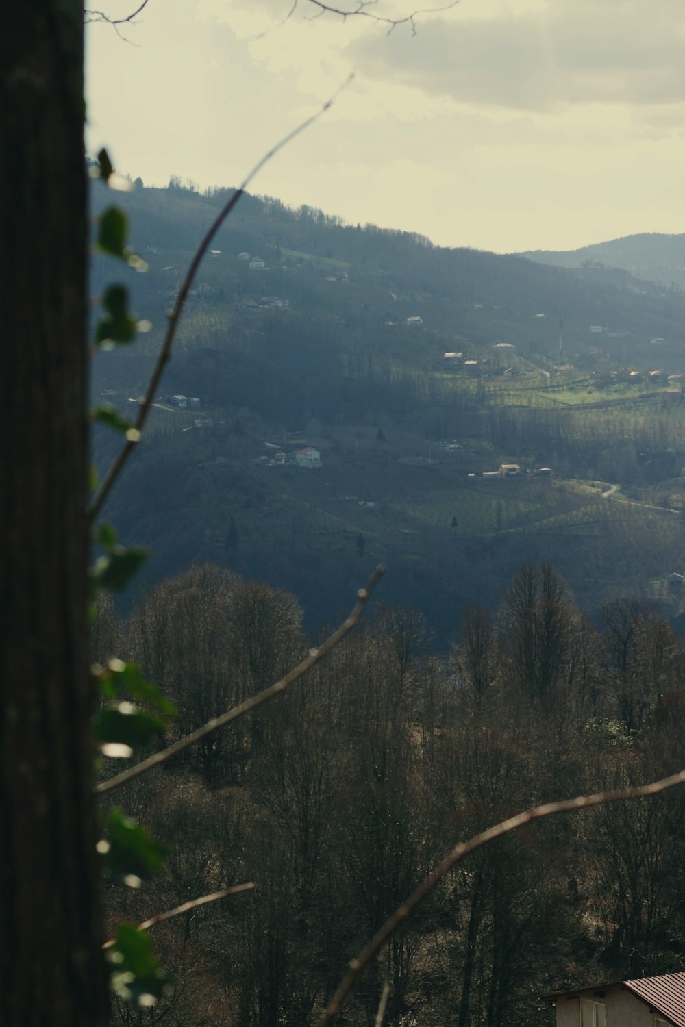 a view of a mountain with a house in the foreground