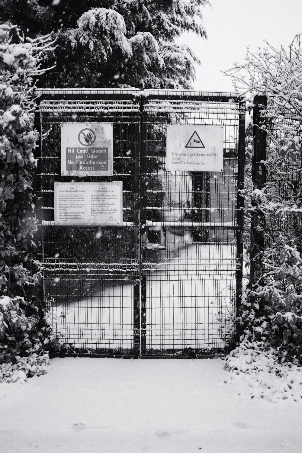 Una foto in bianco e nero di un cancello nella neve