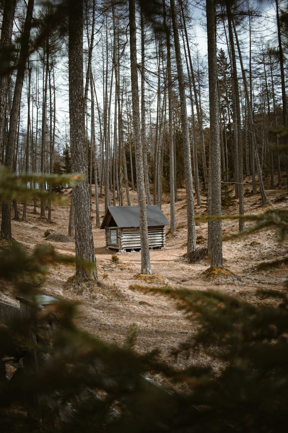 a small cabin in the middle of a forest