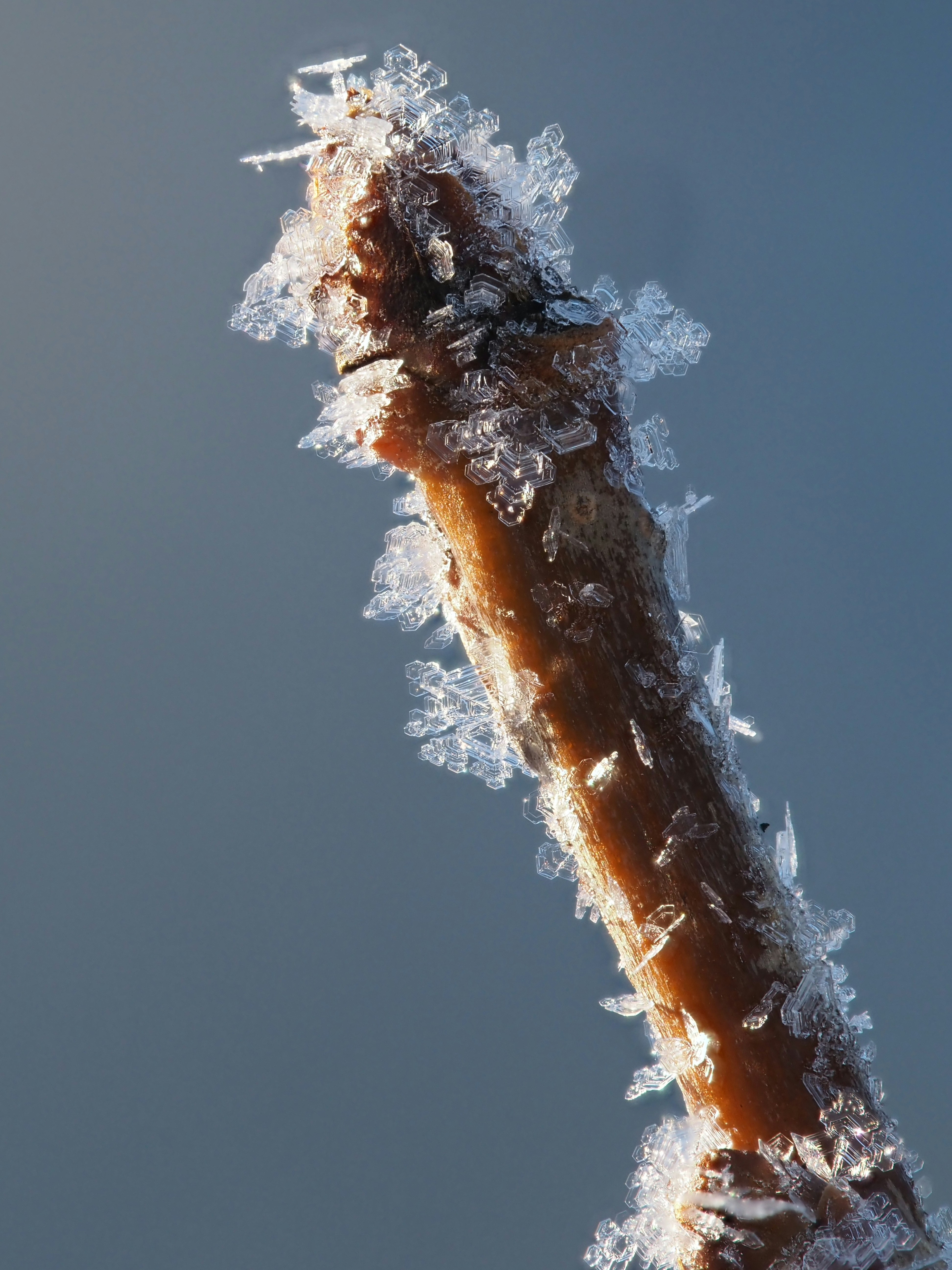 winter pipe frost, wallpaper, Prevent Frozen Pipes: Best Ways to Protect Your Water 4