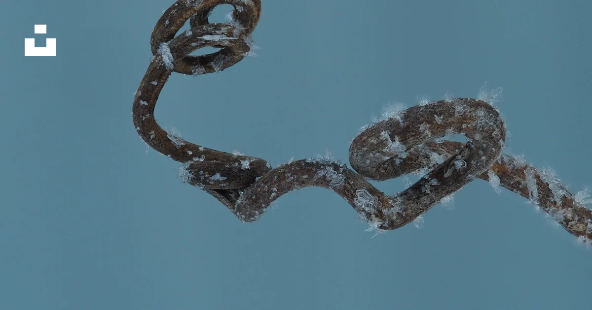 A rusted metal chain with snow on it photo – Free Background Image on ...