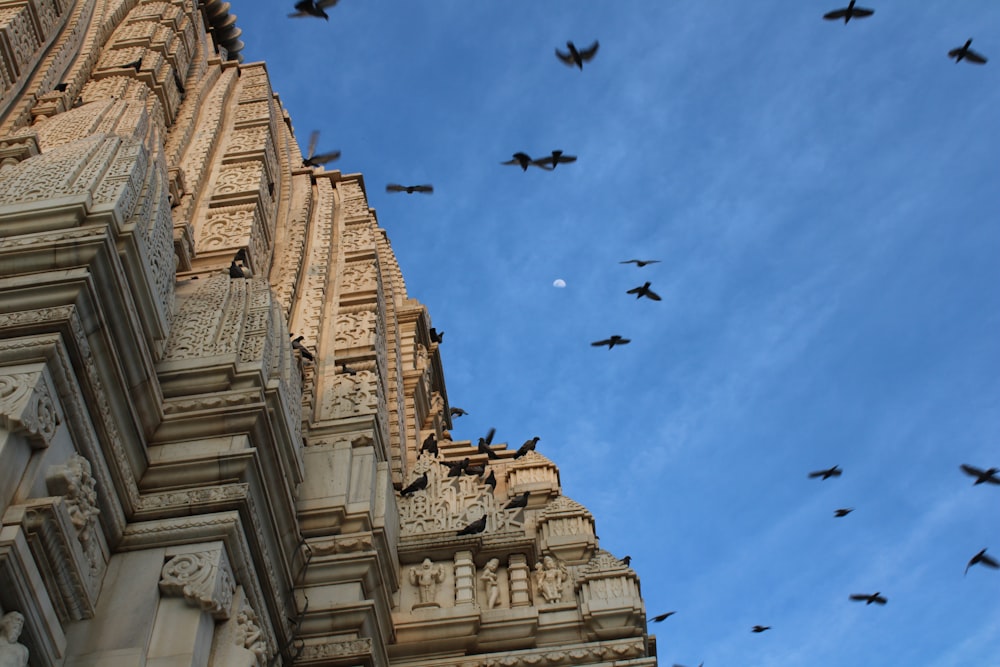 a flock of birds flying over a tall building