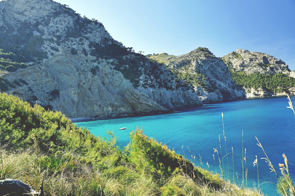 a body of water surrounded by mountains and grass