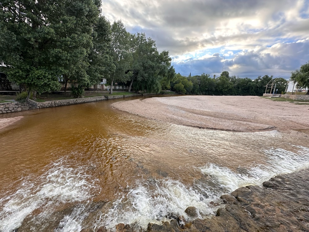 un fiume che scorre attraverso una foresta verde e lussureggiante