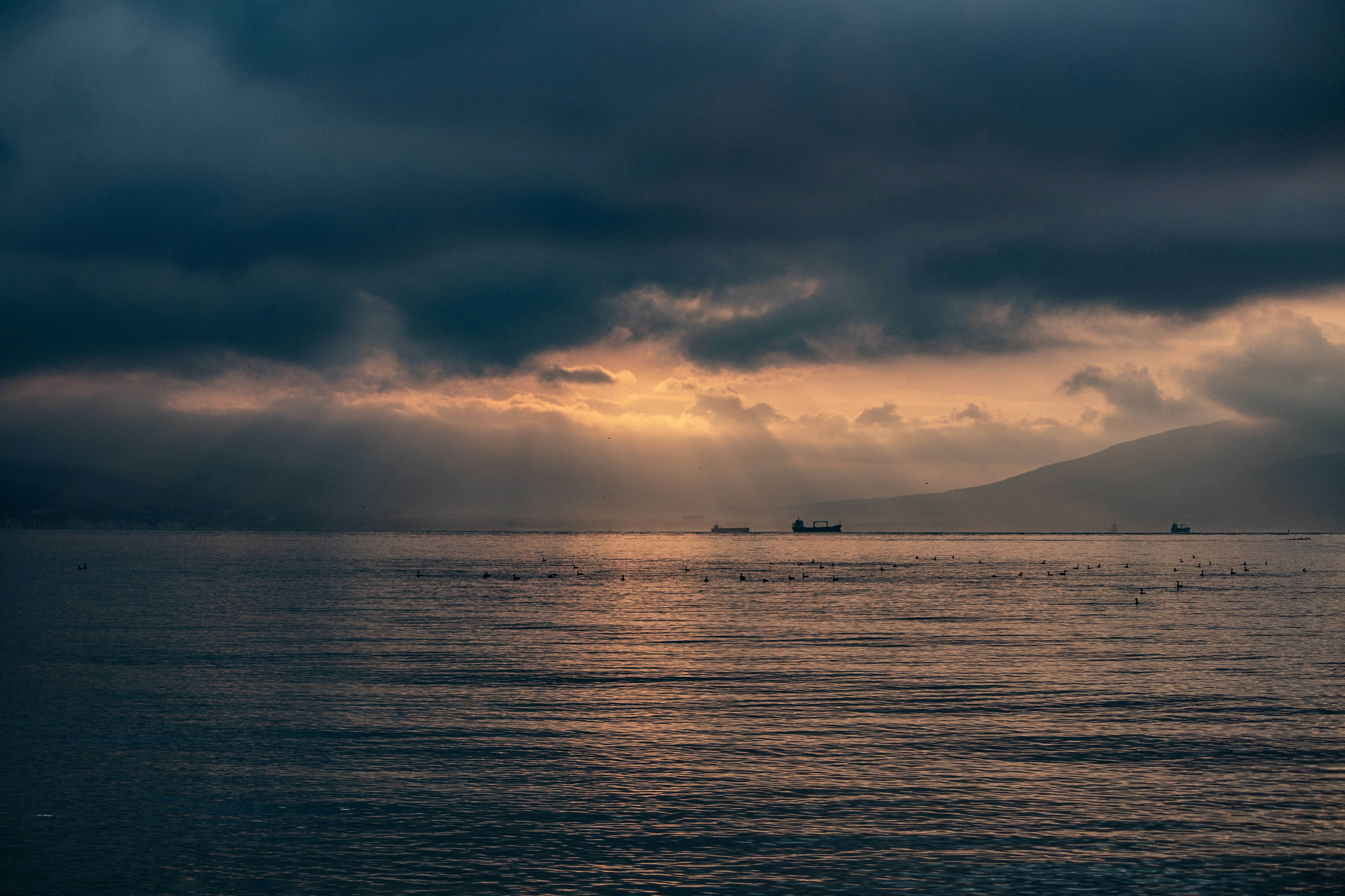 Photo by stepan_konev