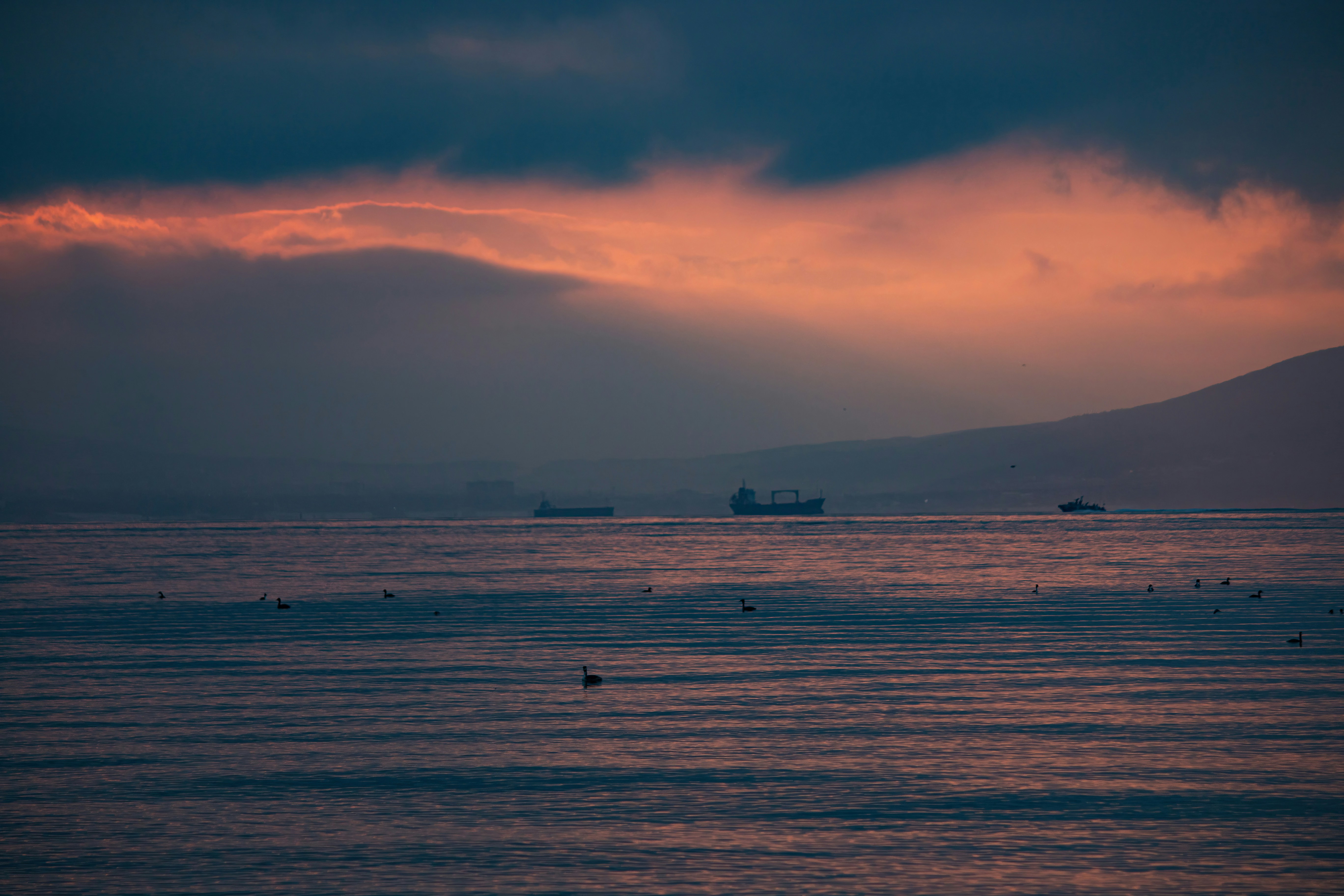 Photo by stepan_konev