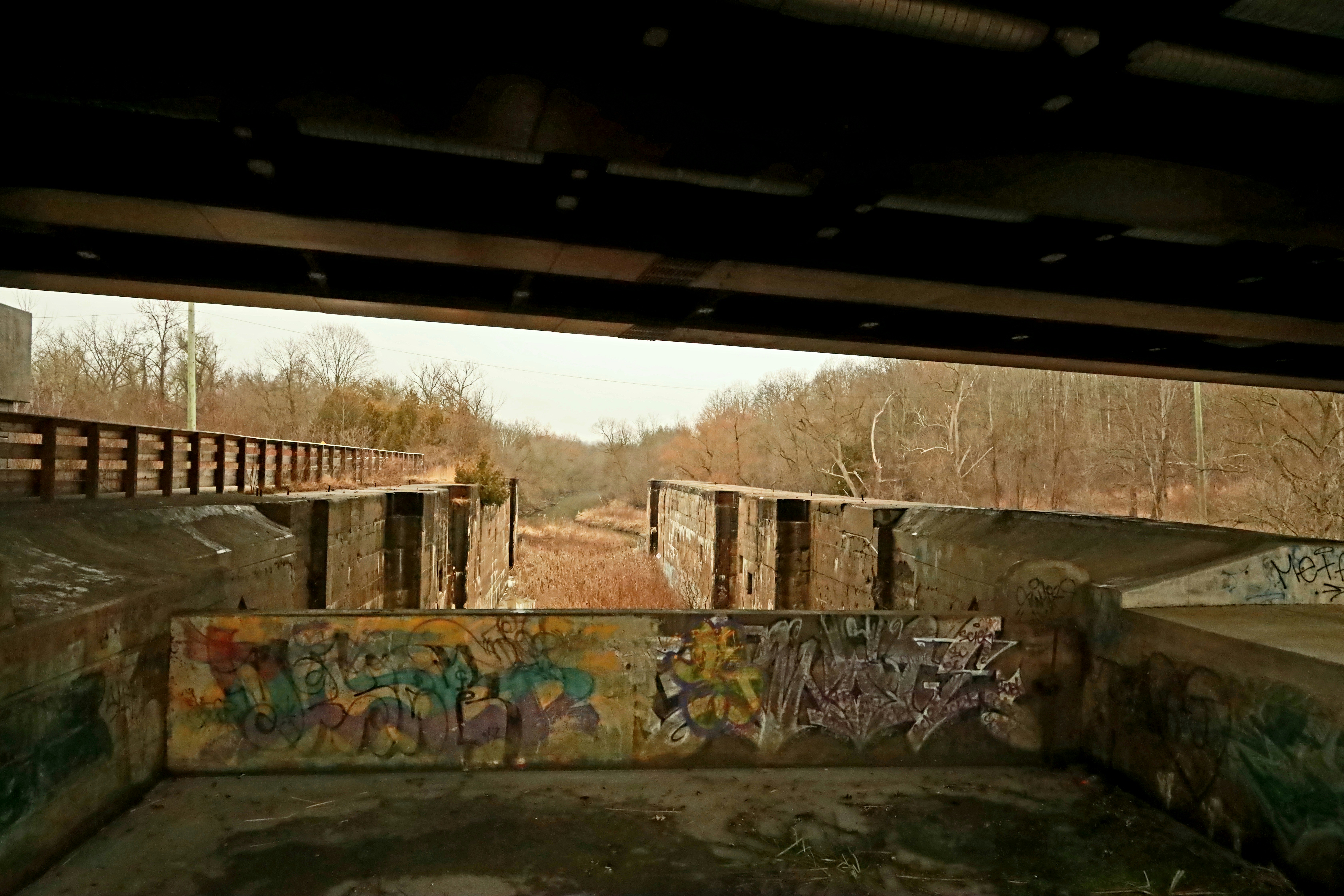 Albert Ponds Preserve