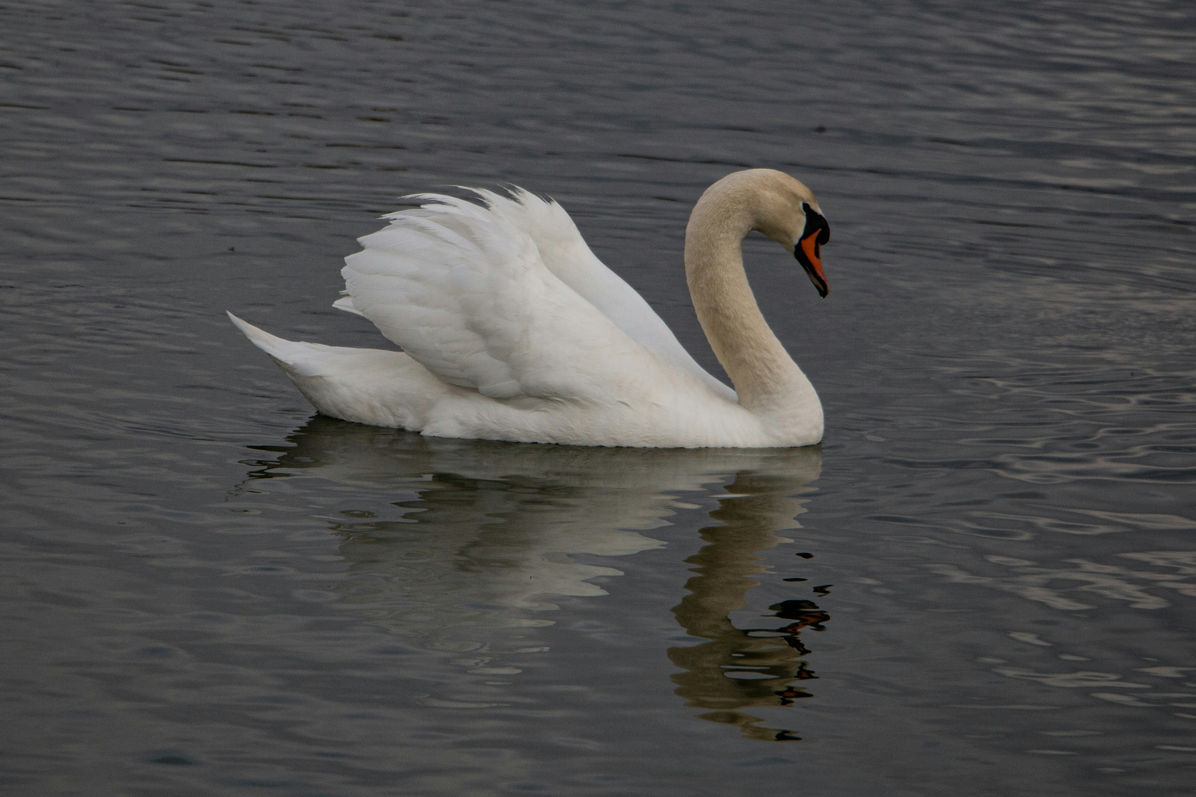 Photo by stepan_konev