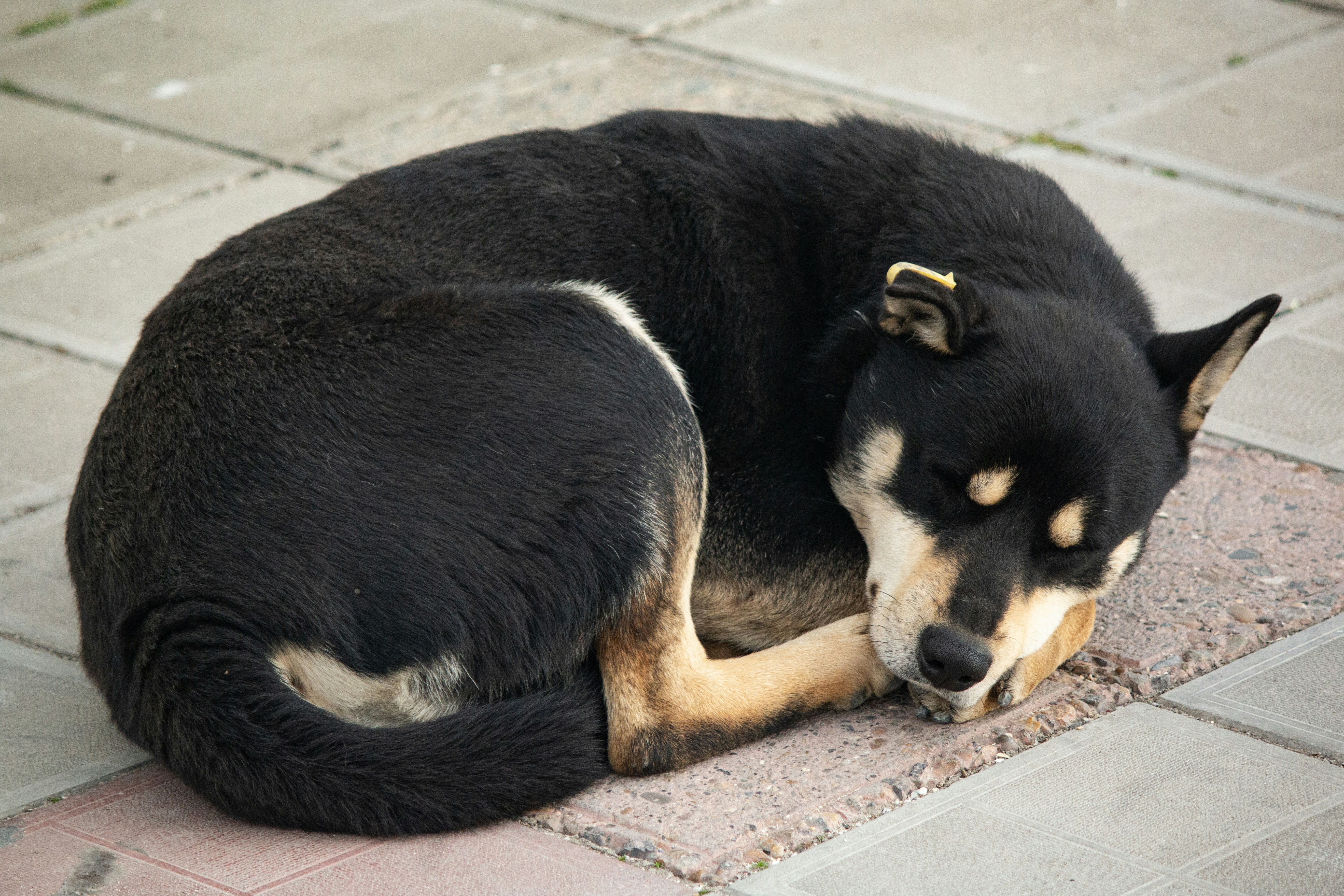 Photo by stepan_konev