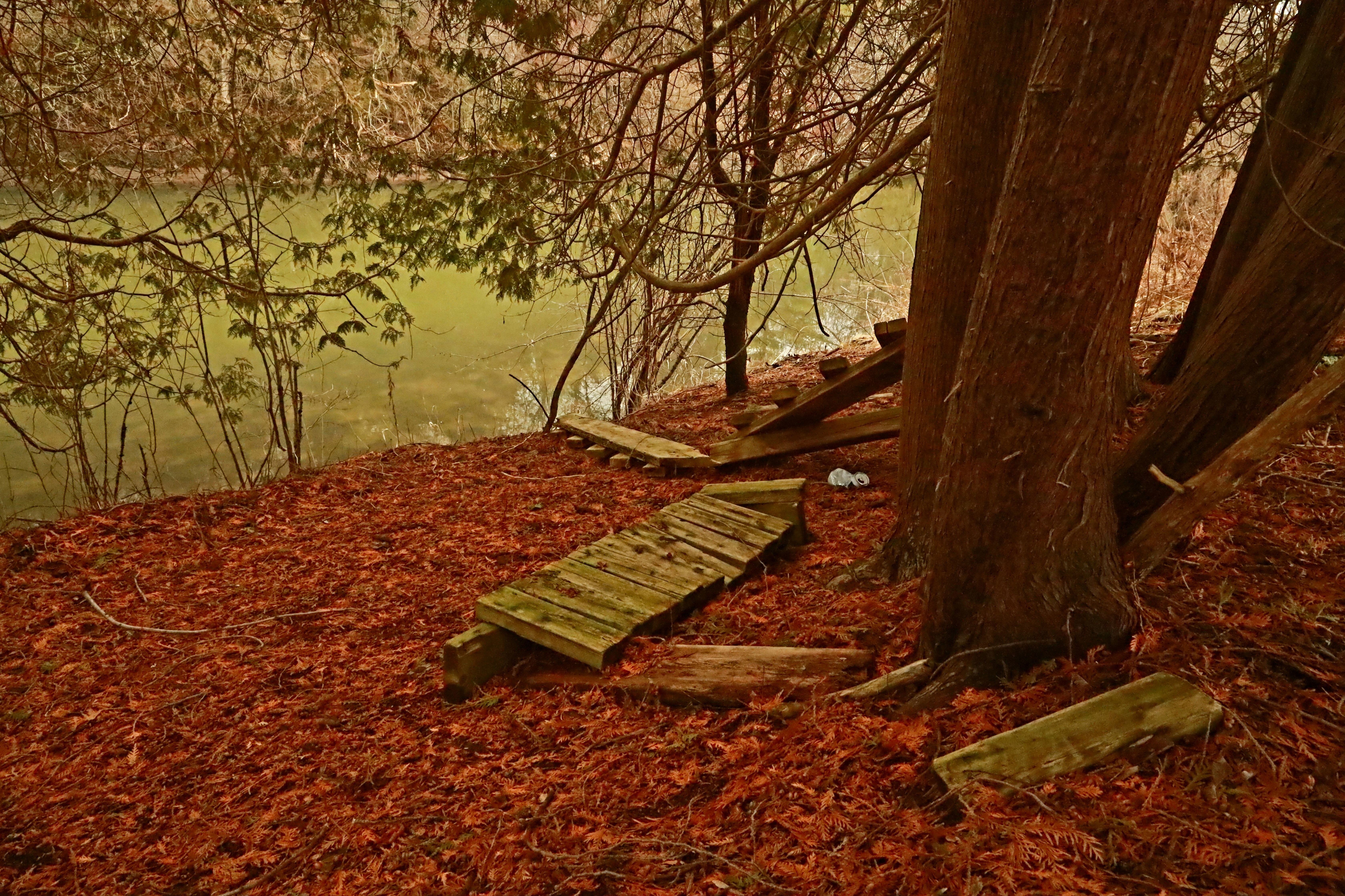 Photo by richardworks