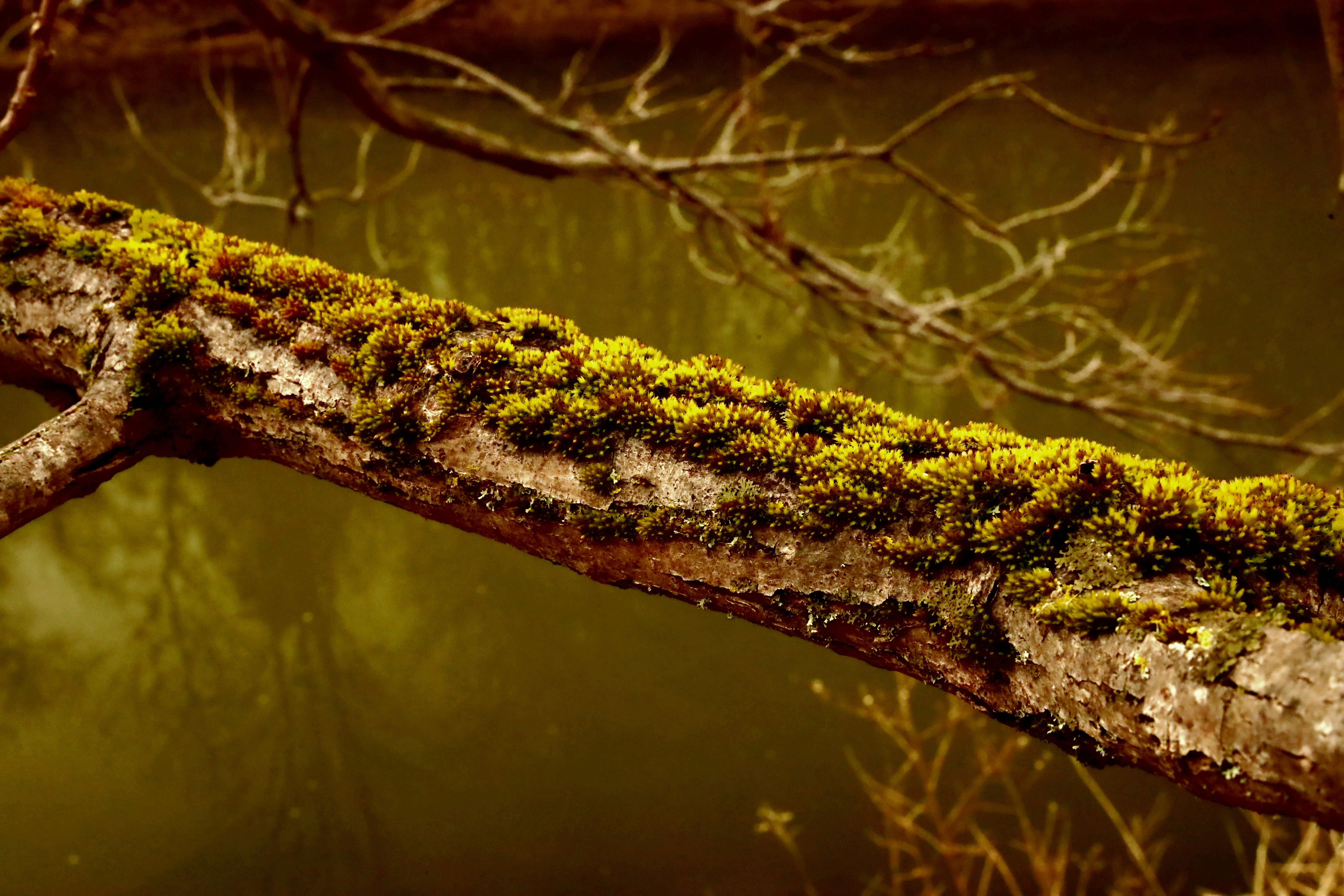 Photo by richardworks