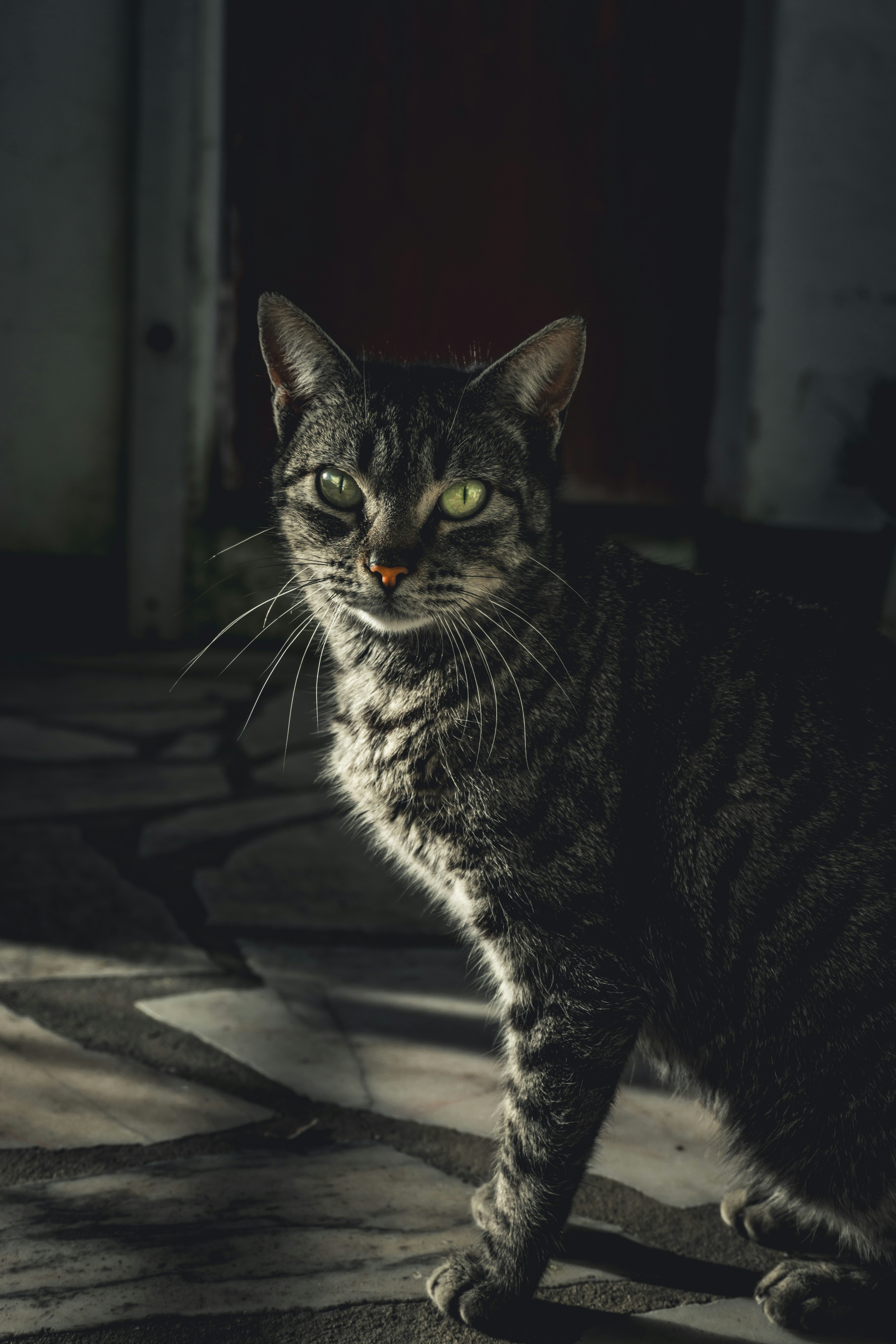 Photo by diogocardoso28