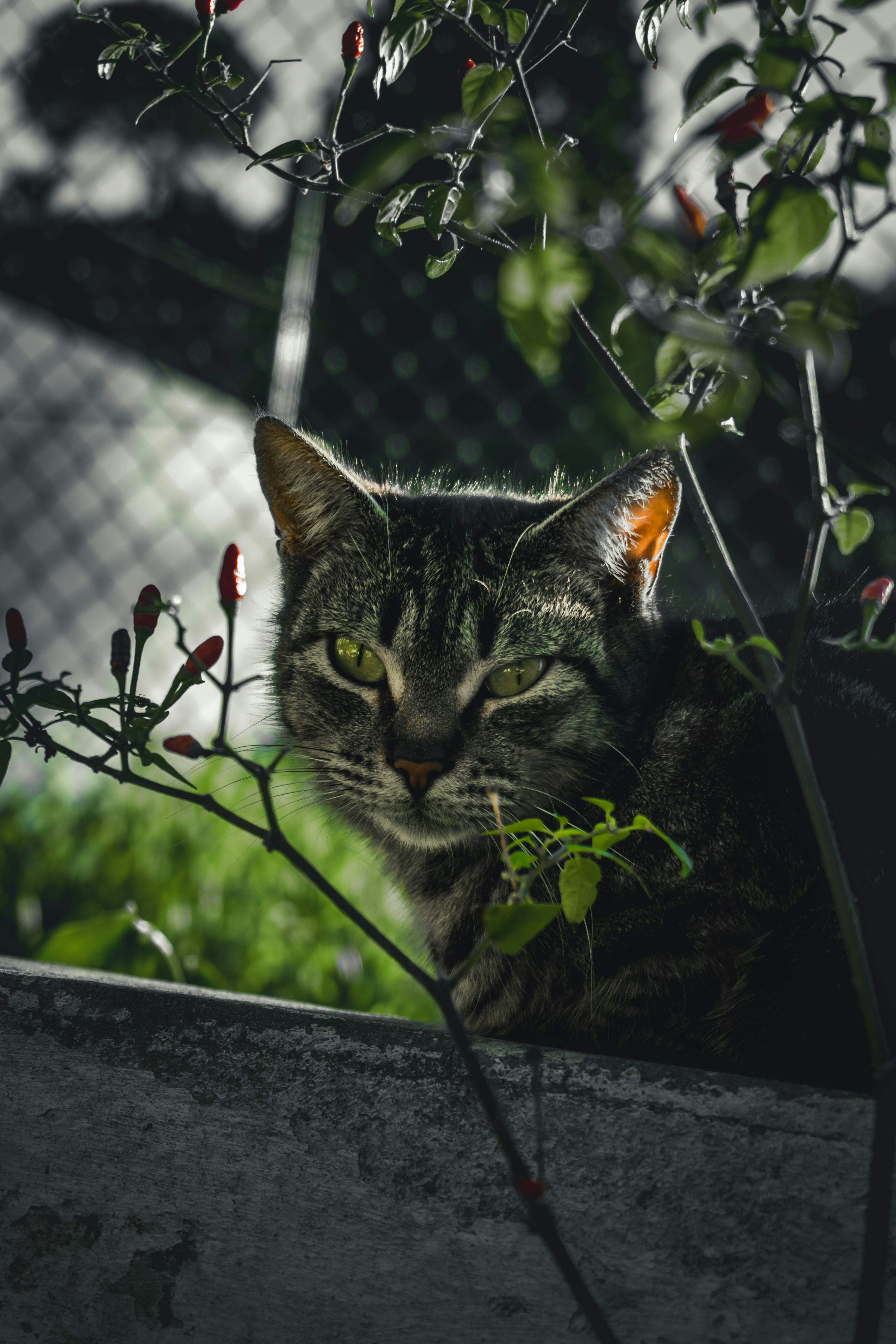 Photo by diogocardoso28