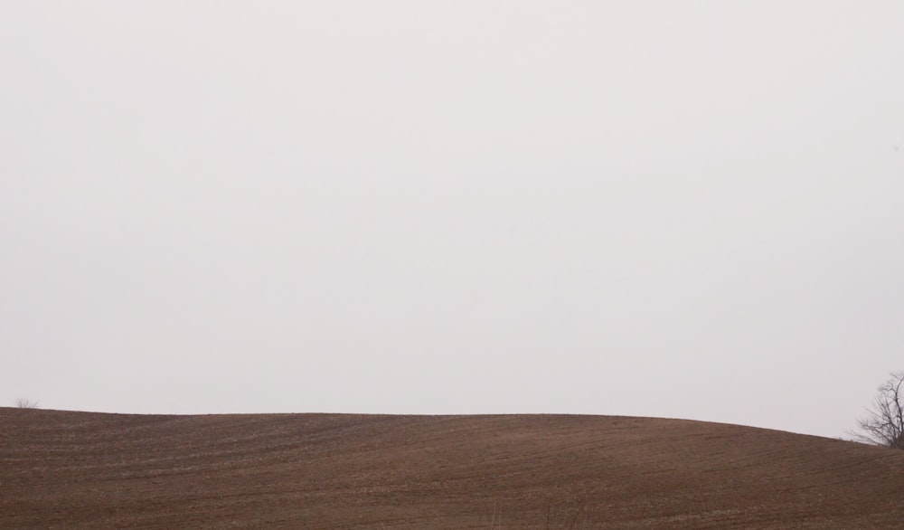 a lone tree on a hill in the middle of nowhere