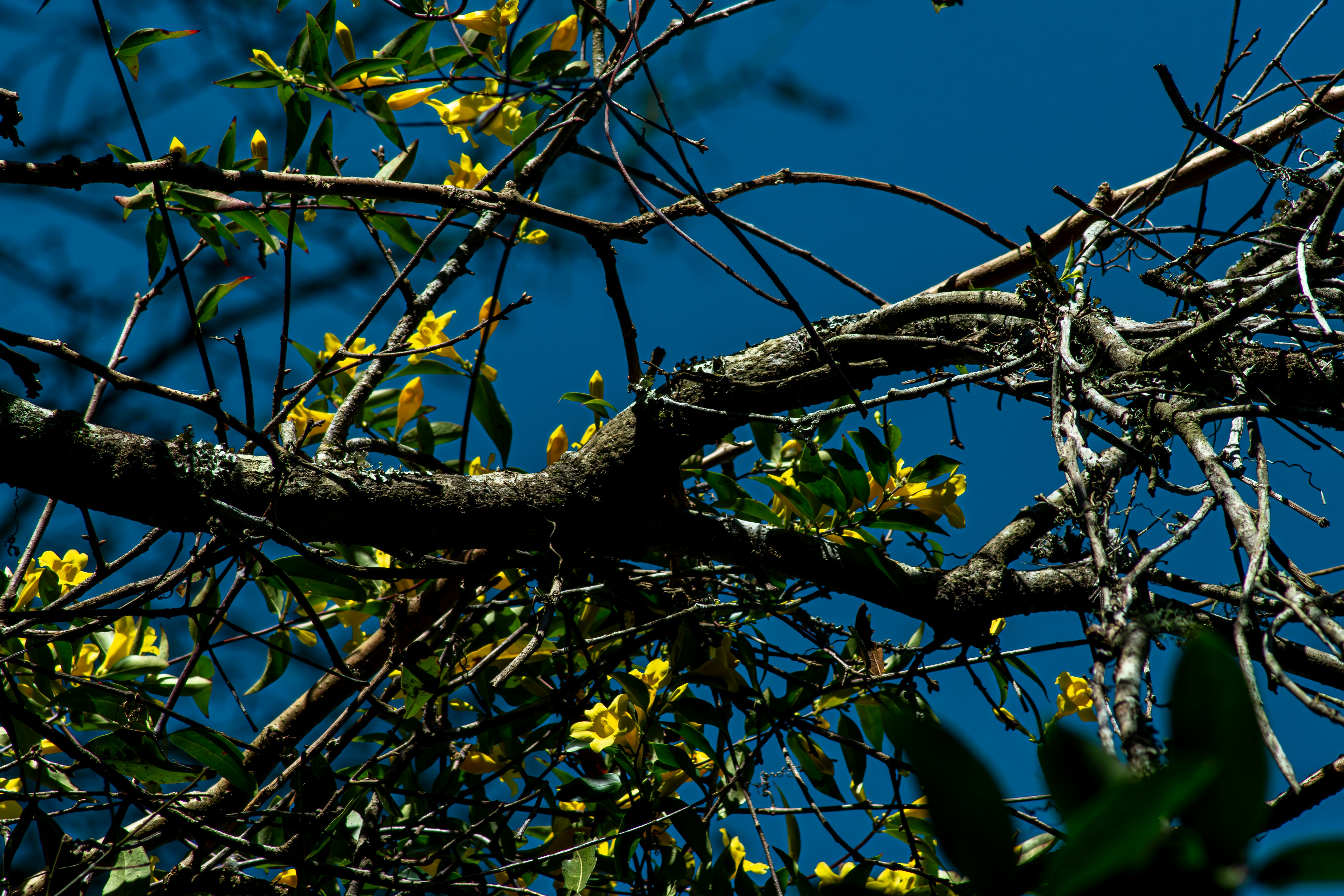 Photo by astro_civil