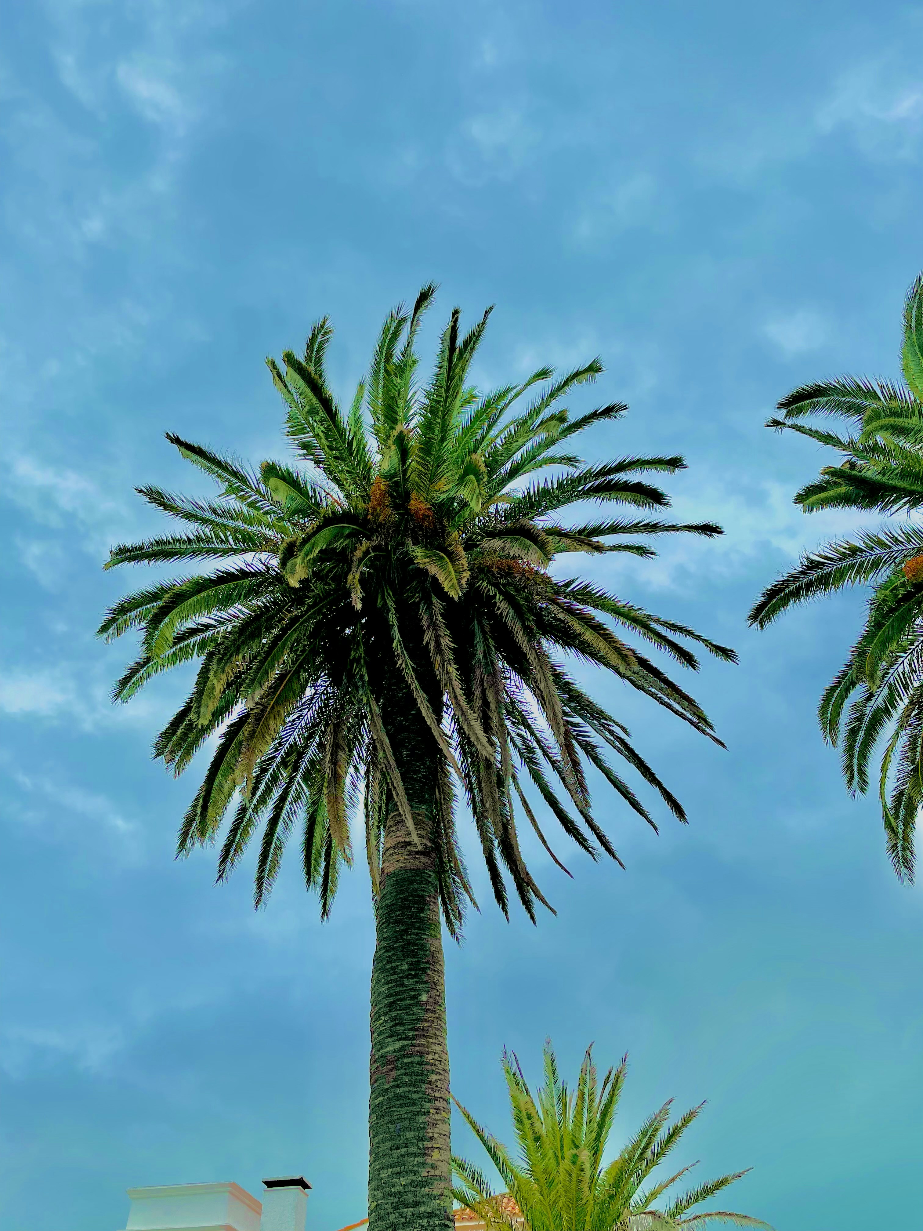 Photo by nataliazuritta