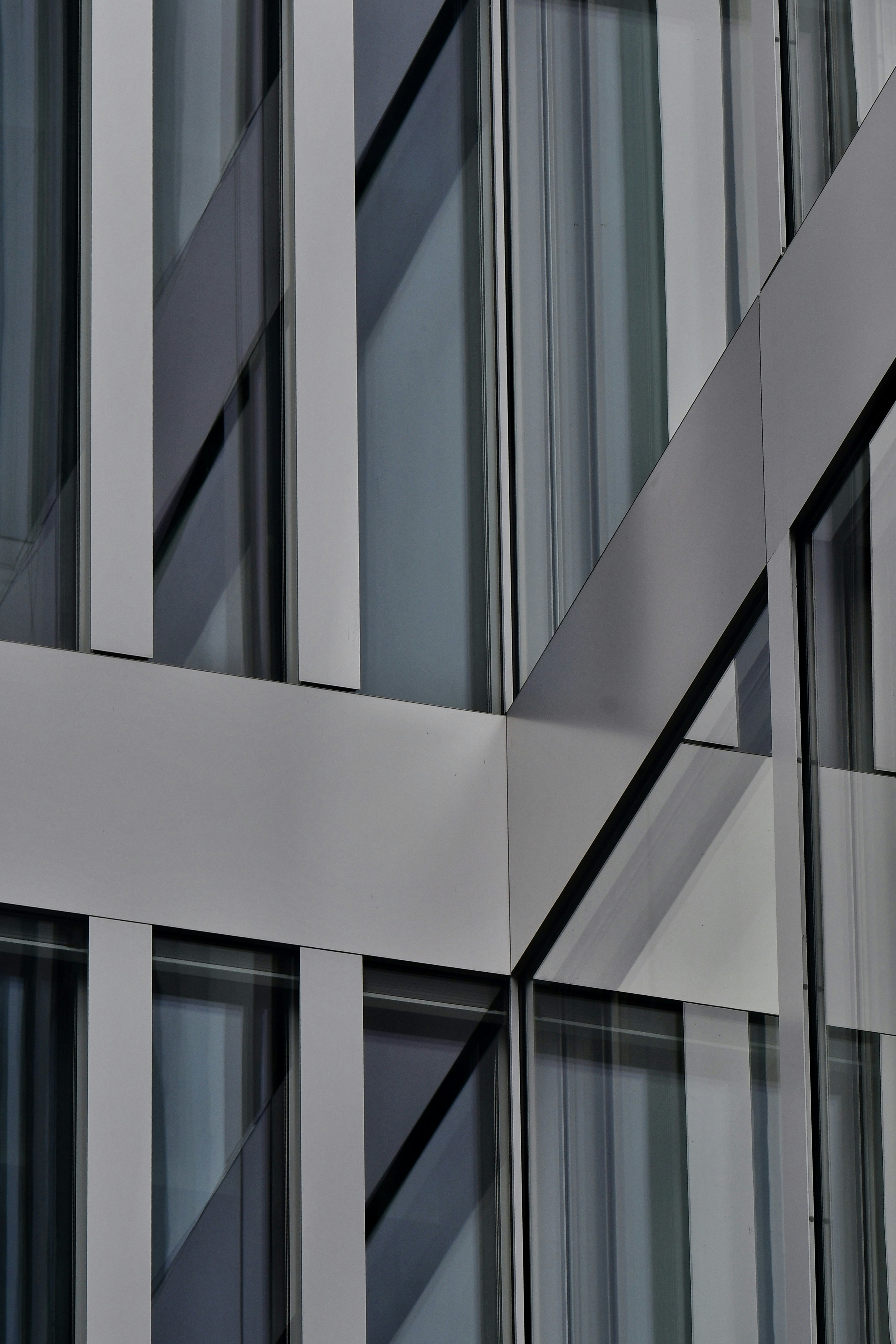 Photo by pedrino5_official