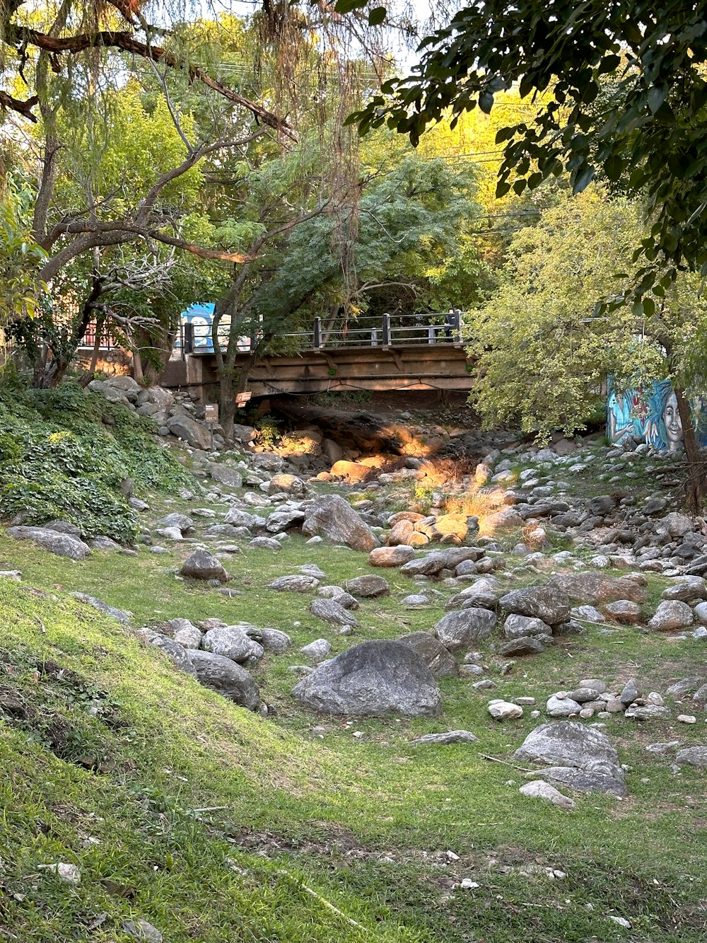 a small bridge over a stream in a park