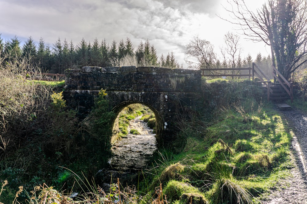 a stone bridge over a small stream in a forest