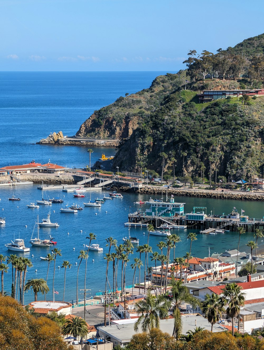 a harbor filled with lots of boats and palm trees