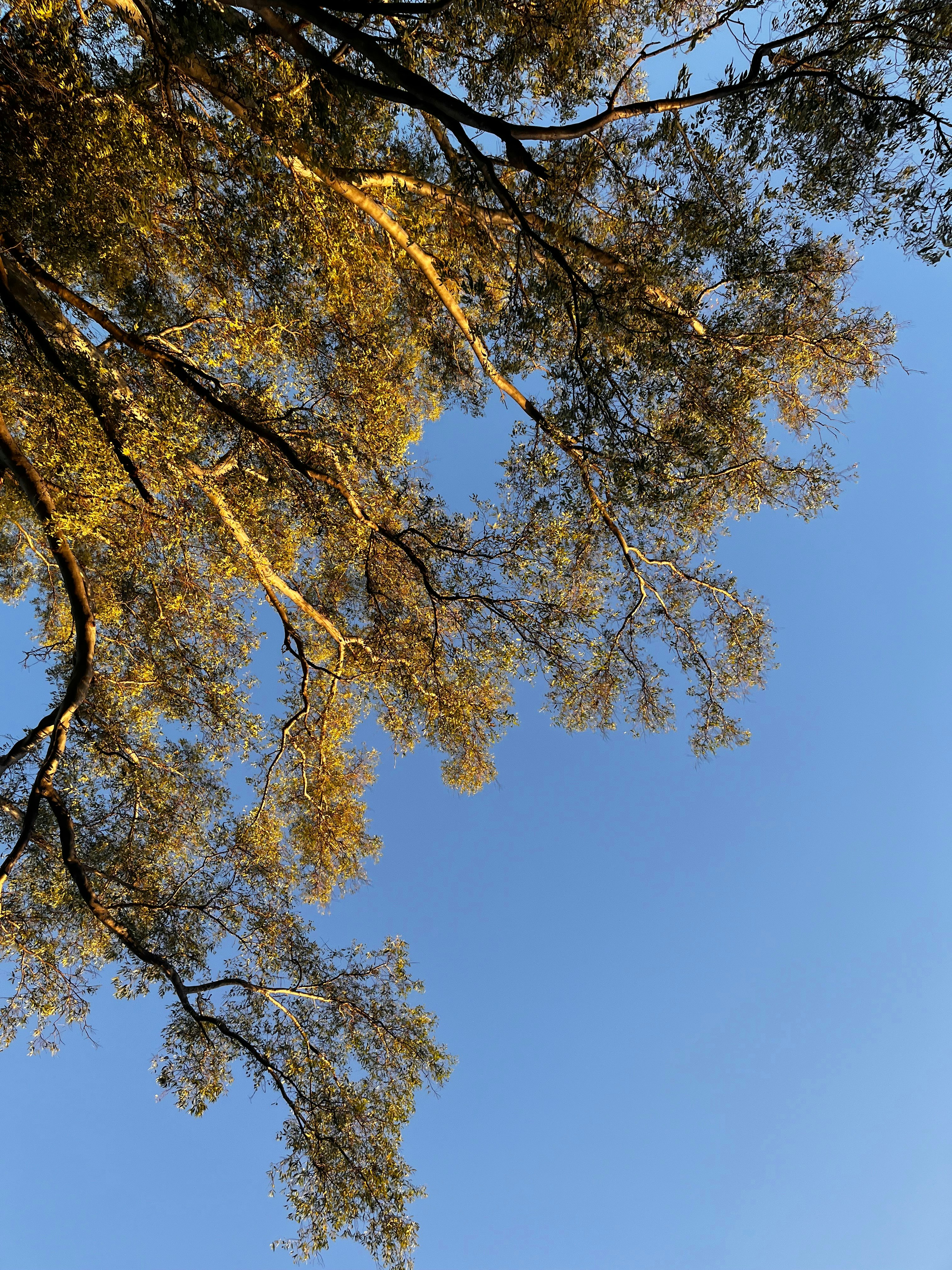 Photo by fidee_perezz