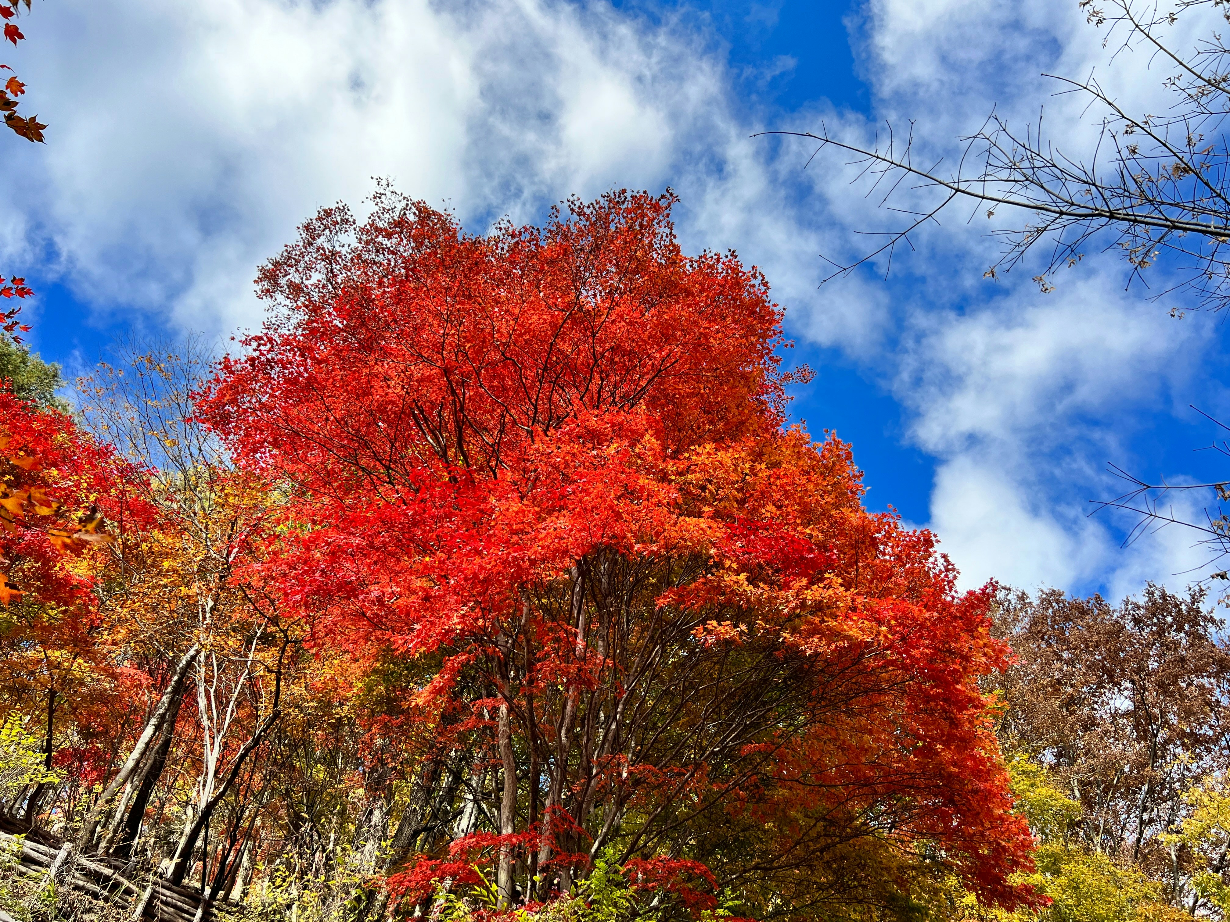 Photo by hinata_takatou_1612