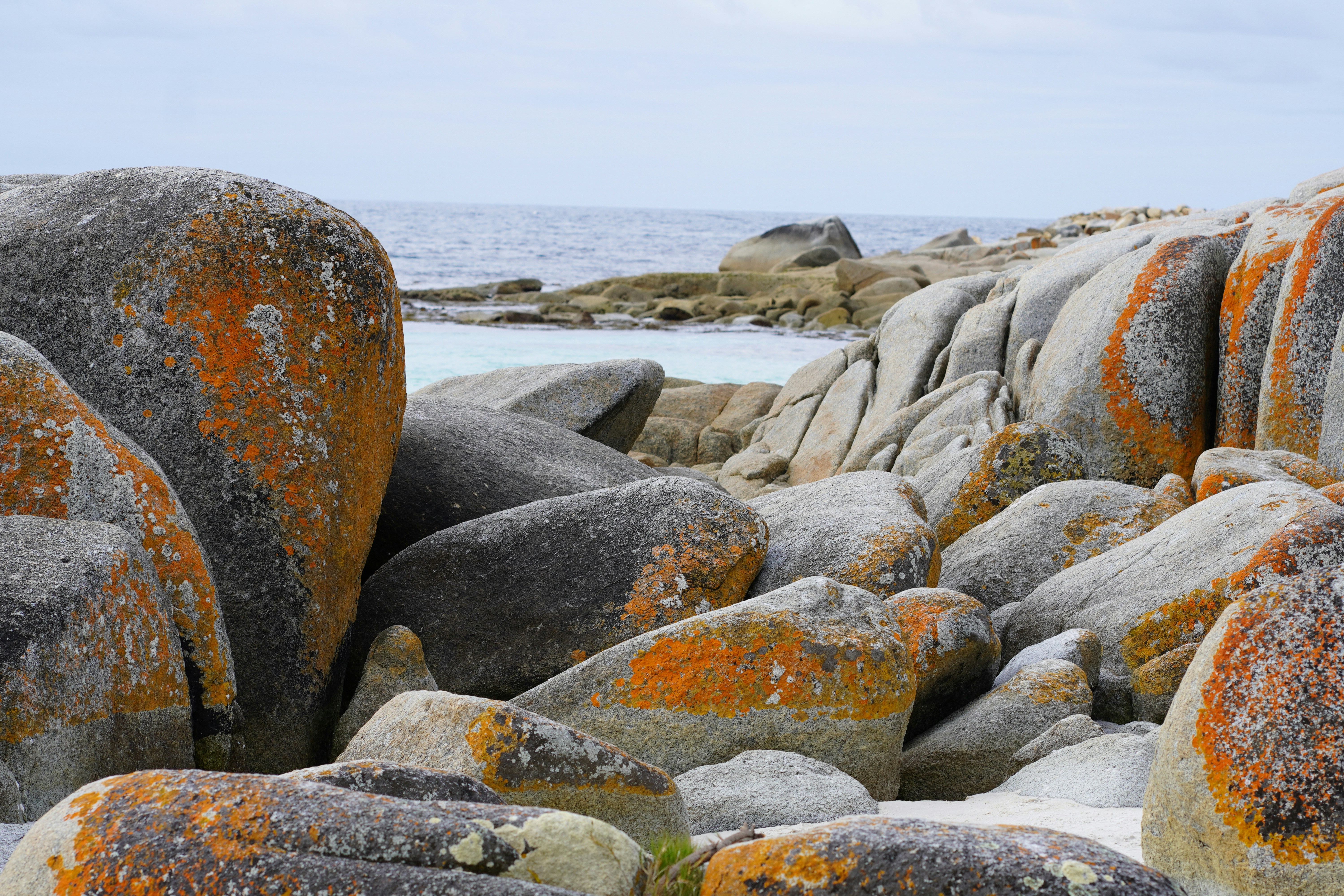 Photo by entitystudioau